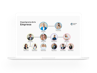 Crea un organigrama