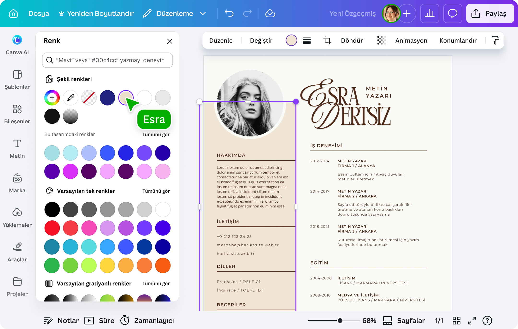 PDF üzerine yazı yazma - Canva