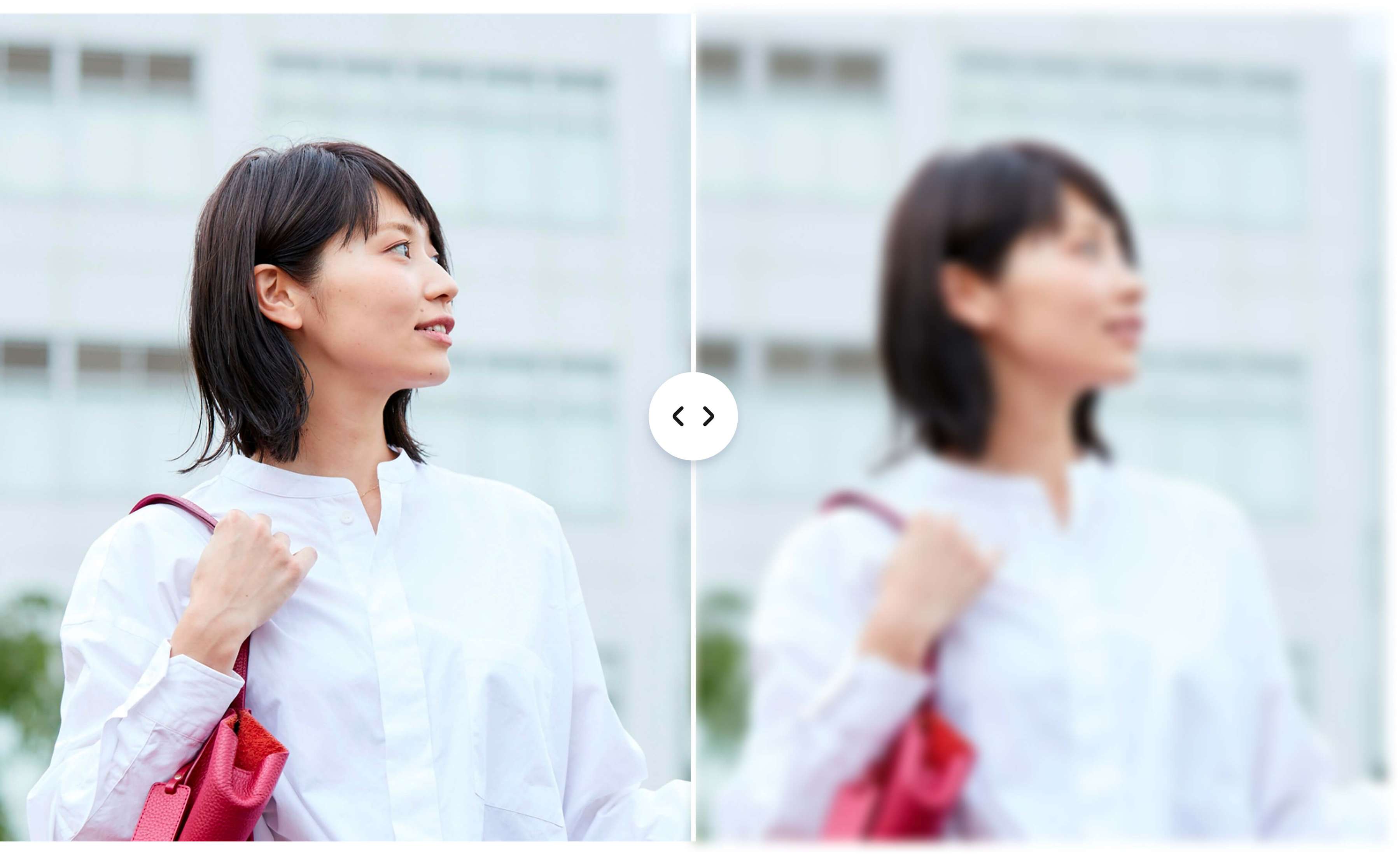 写真のぼかし・モザイク