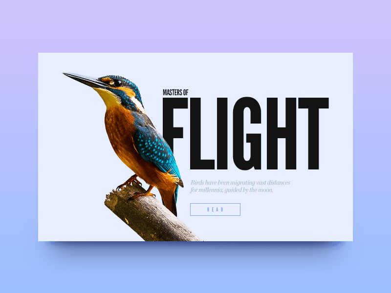 Marry text and images in your designs | Canva