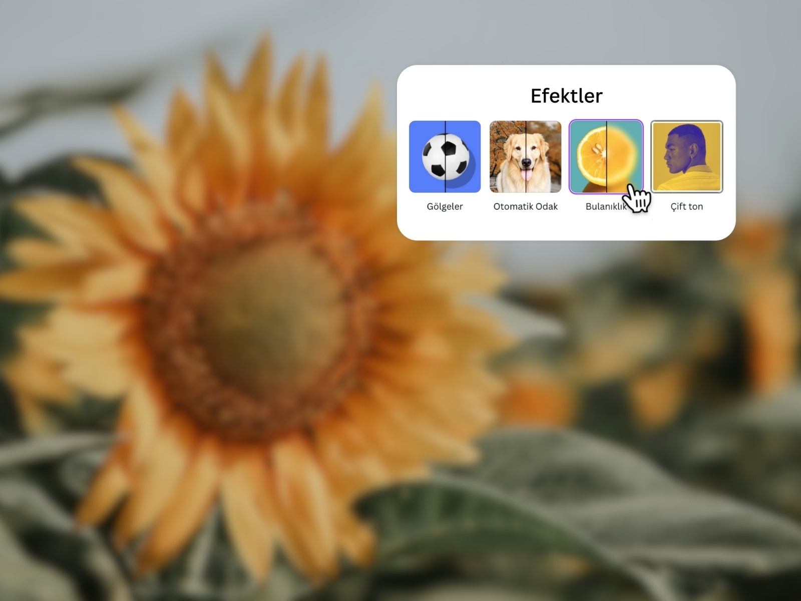 fotoğraf bulanıklaştırma online - Canva