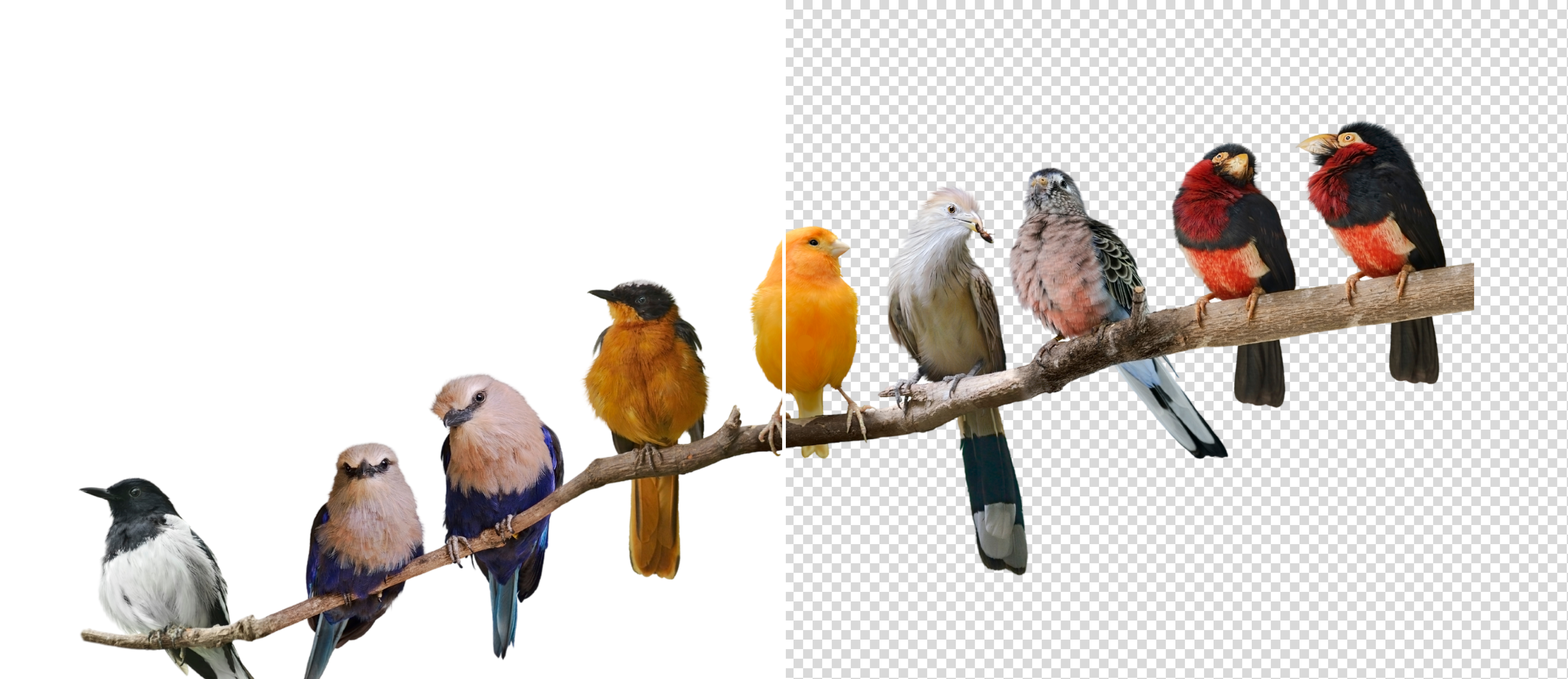 Remove White Background Banner