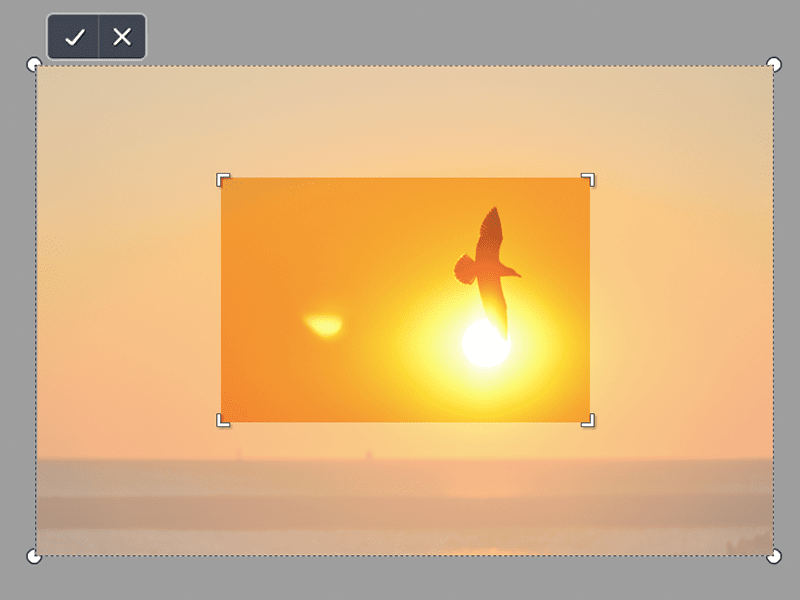 LP_Billedbeskæring_02