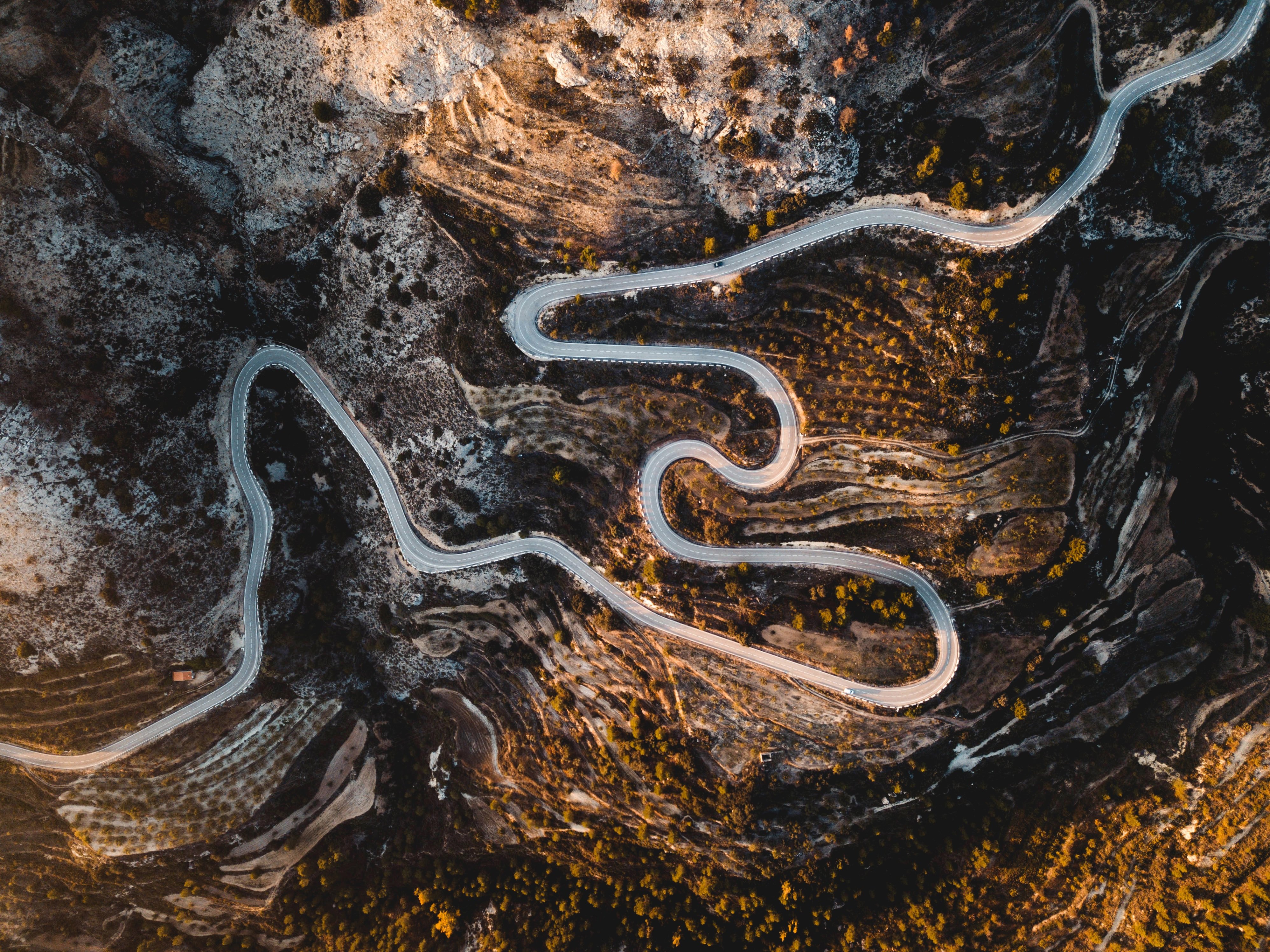 jack-anstey-415825-unsplash