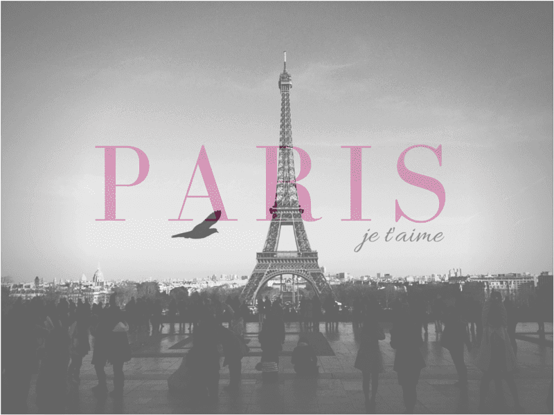 LP_Transparent Images_03