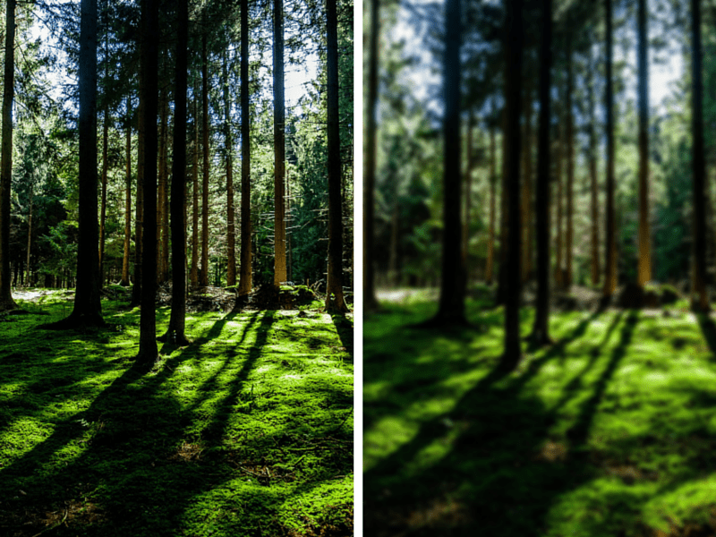 การทำภาพเบลอ