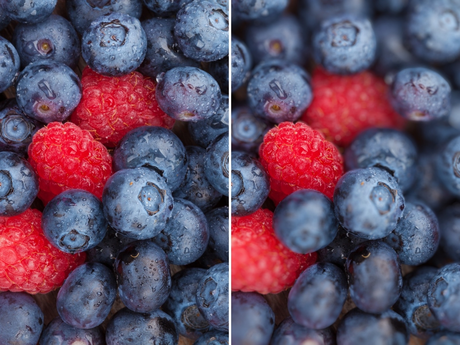 fotoğraf bulanıklaştırma programsız - Canva