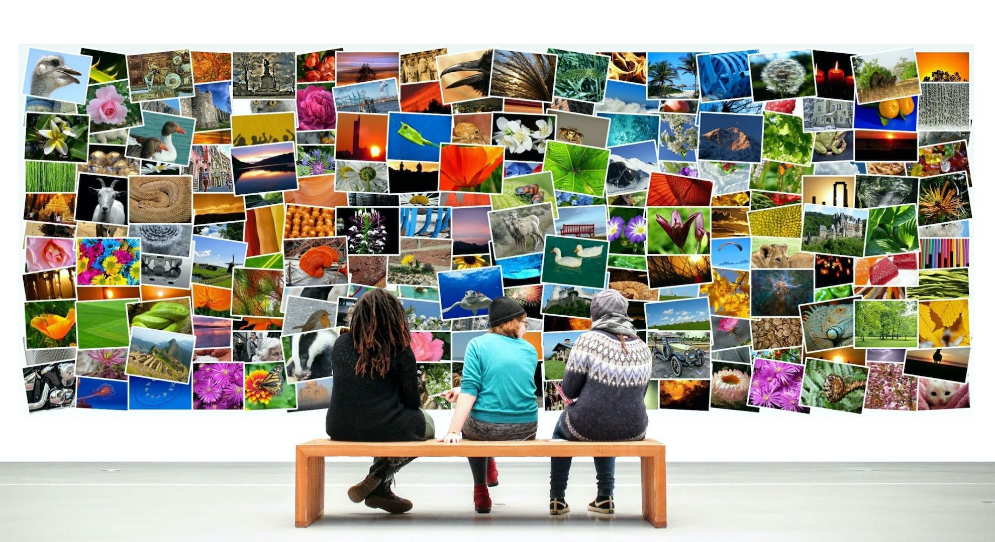 【決定版】フリー（無料）で使える写真素材サイト［商用OK］初めてならこの4つ！