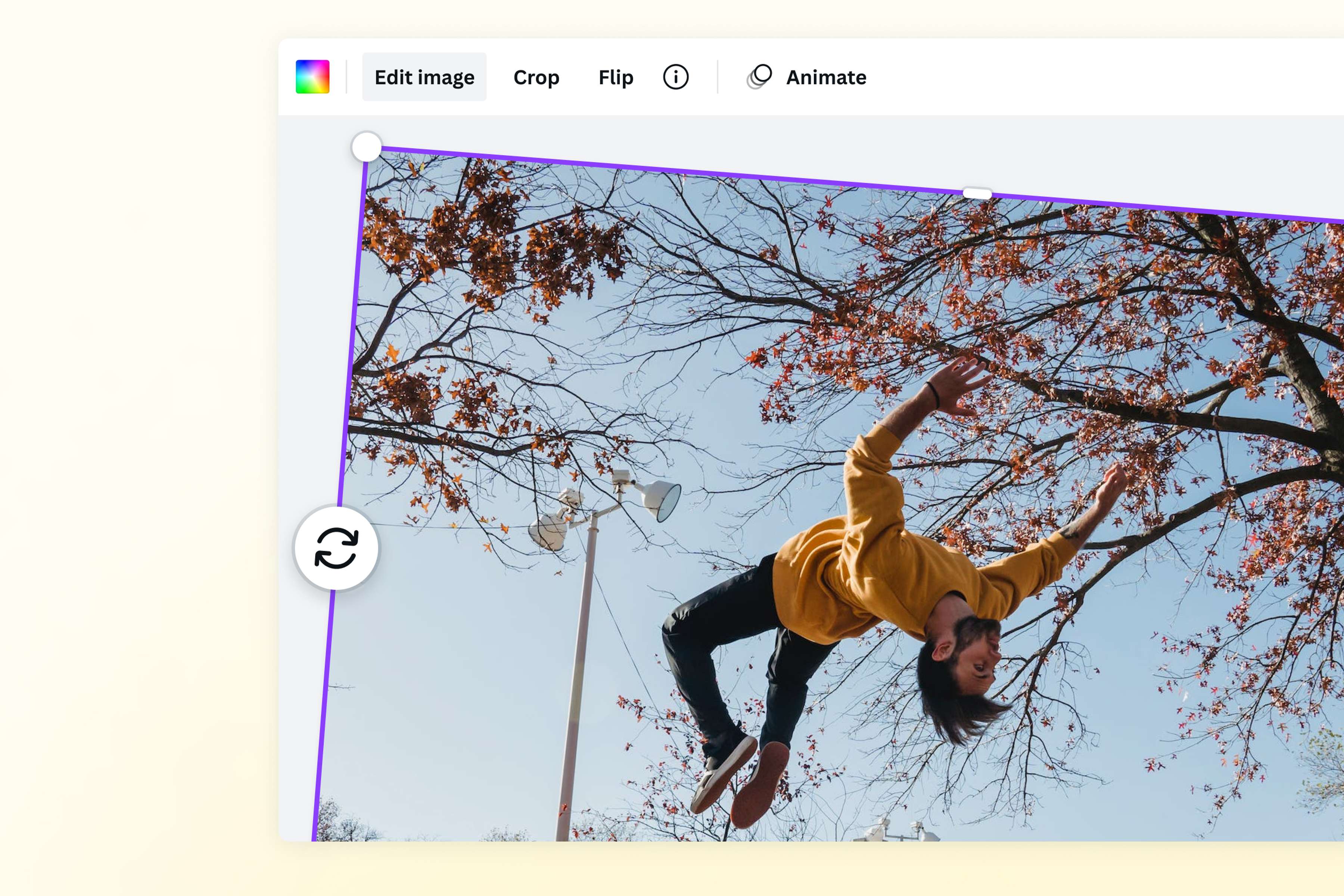 Rotate Image Feature Card 1