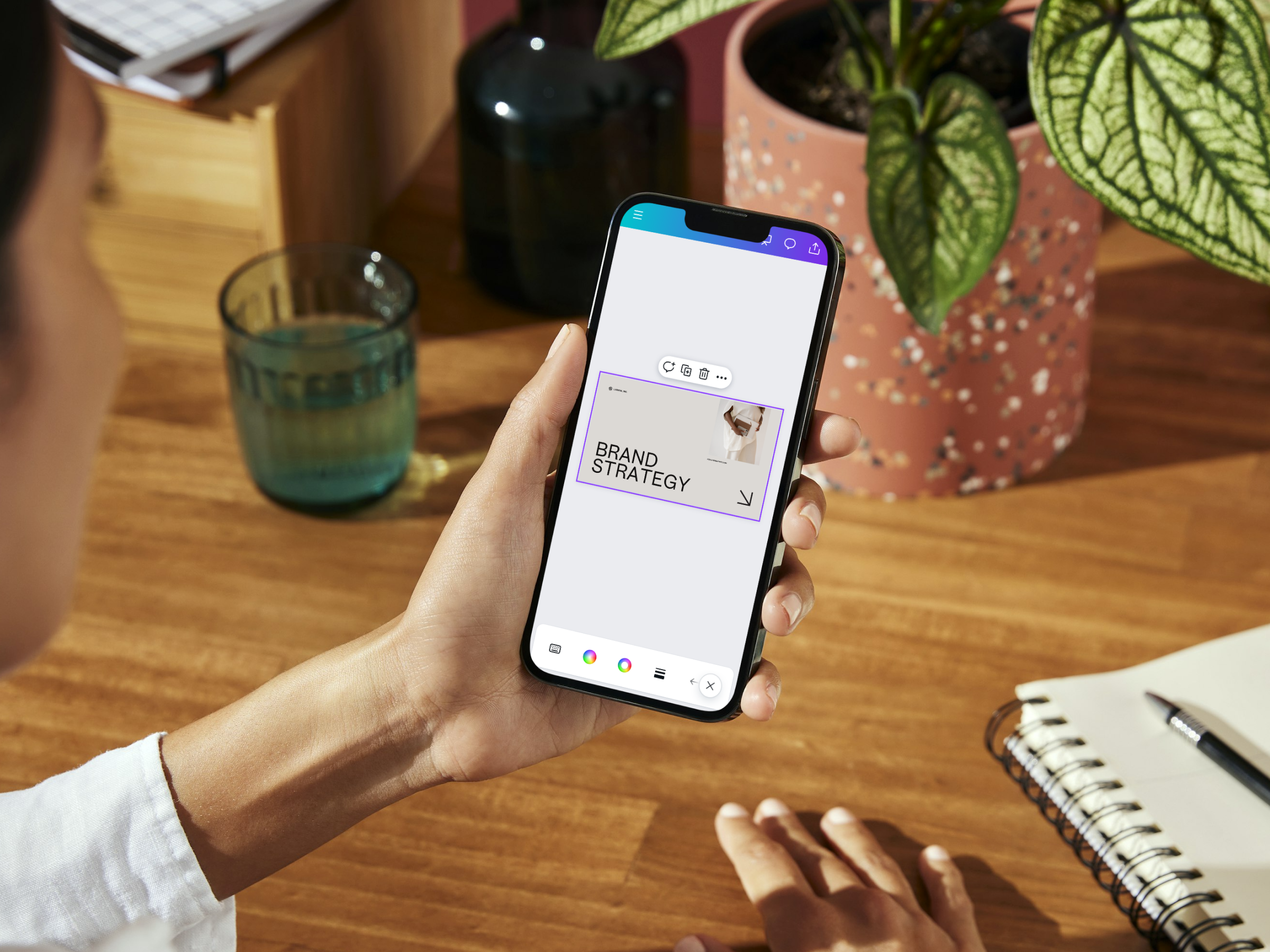 What is brand management