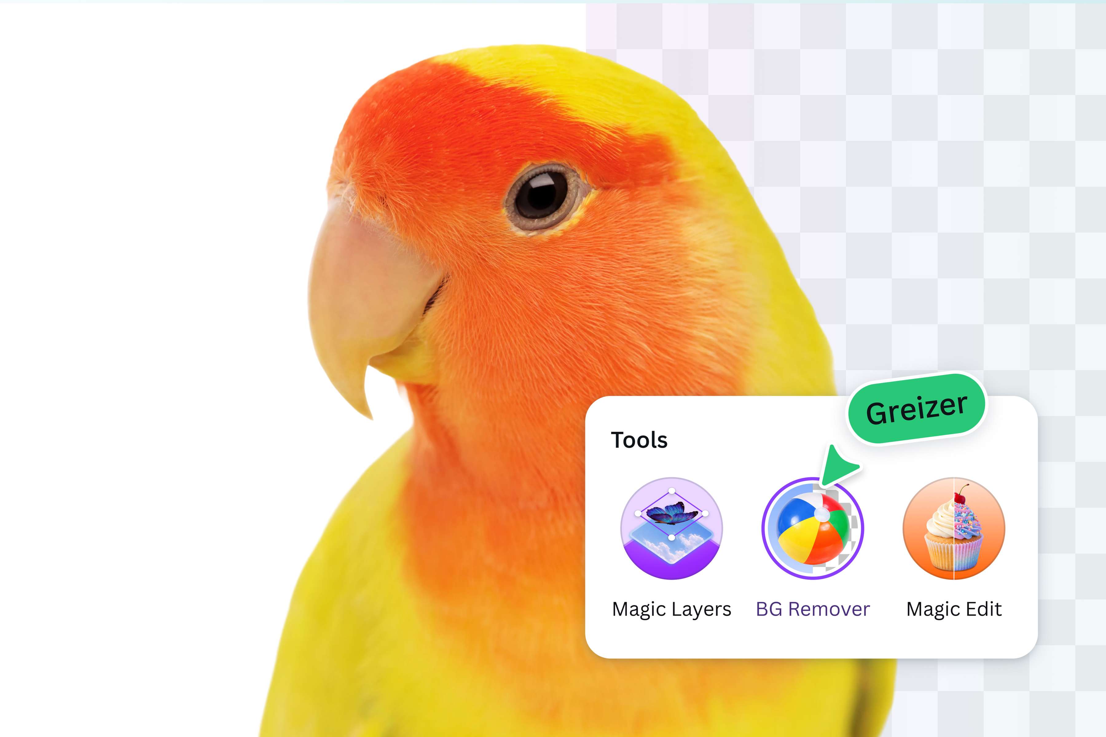 Get rid of the white background in your image with BG remover