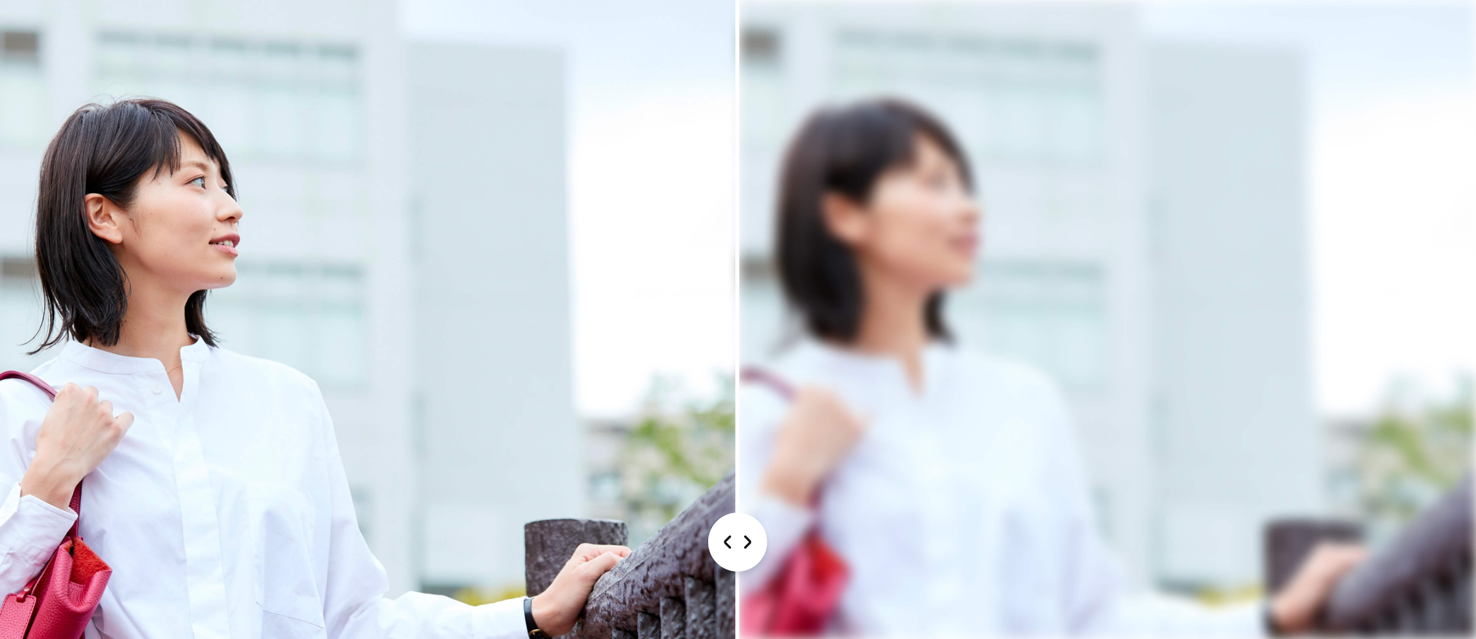 写真のぼかし・モザイク加工