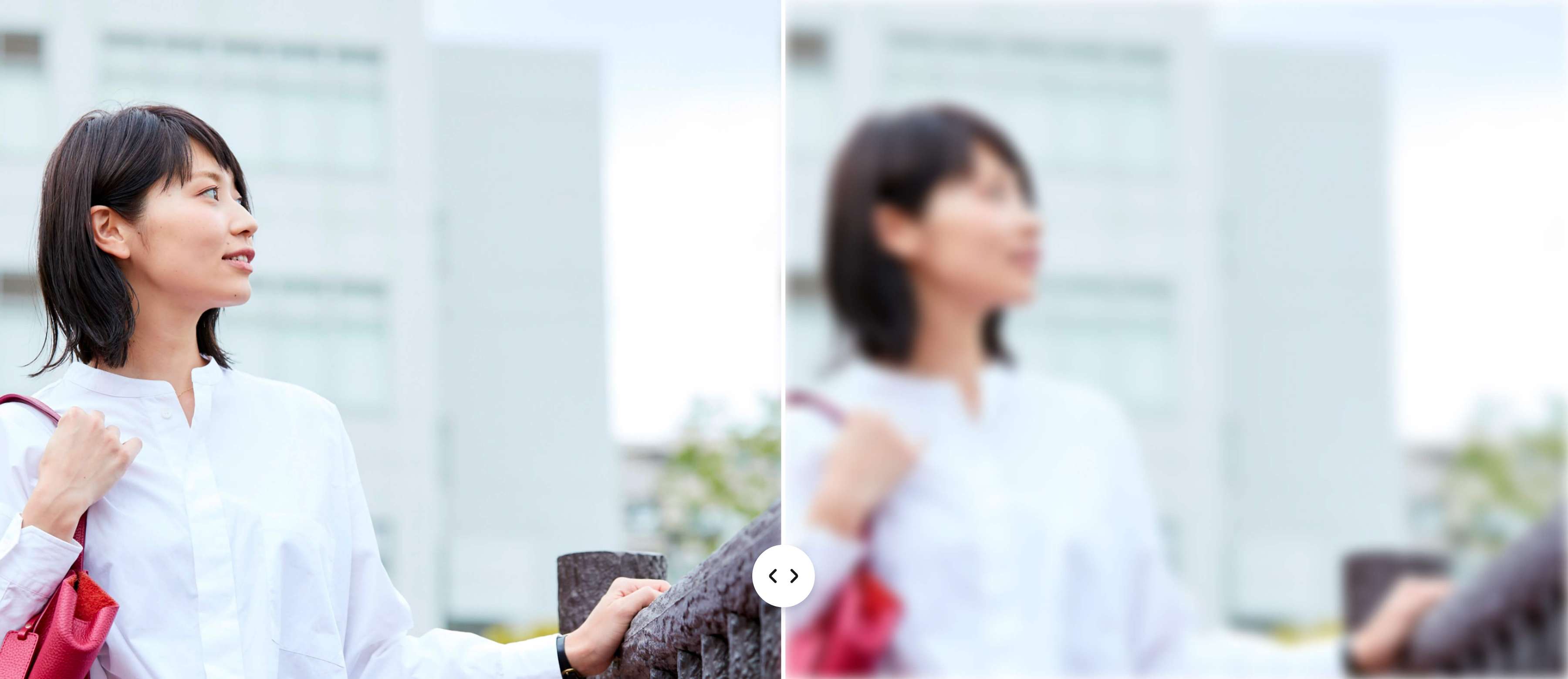 写真のぼかし・モザイク加工