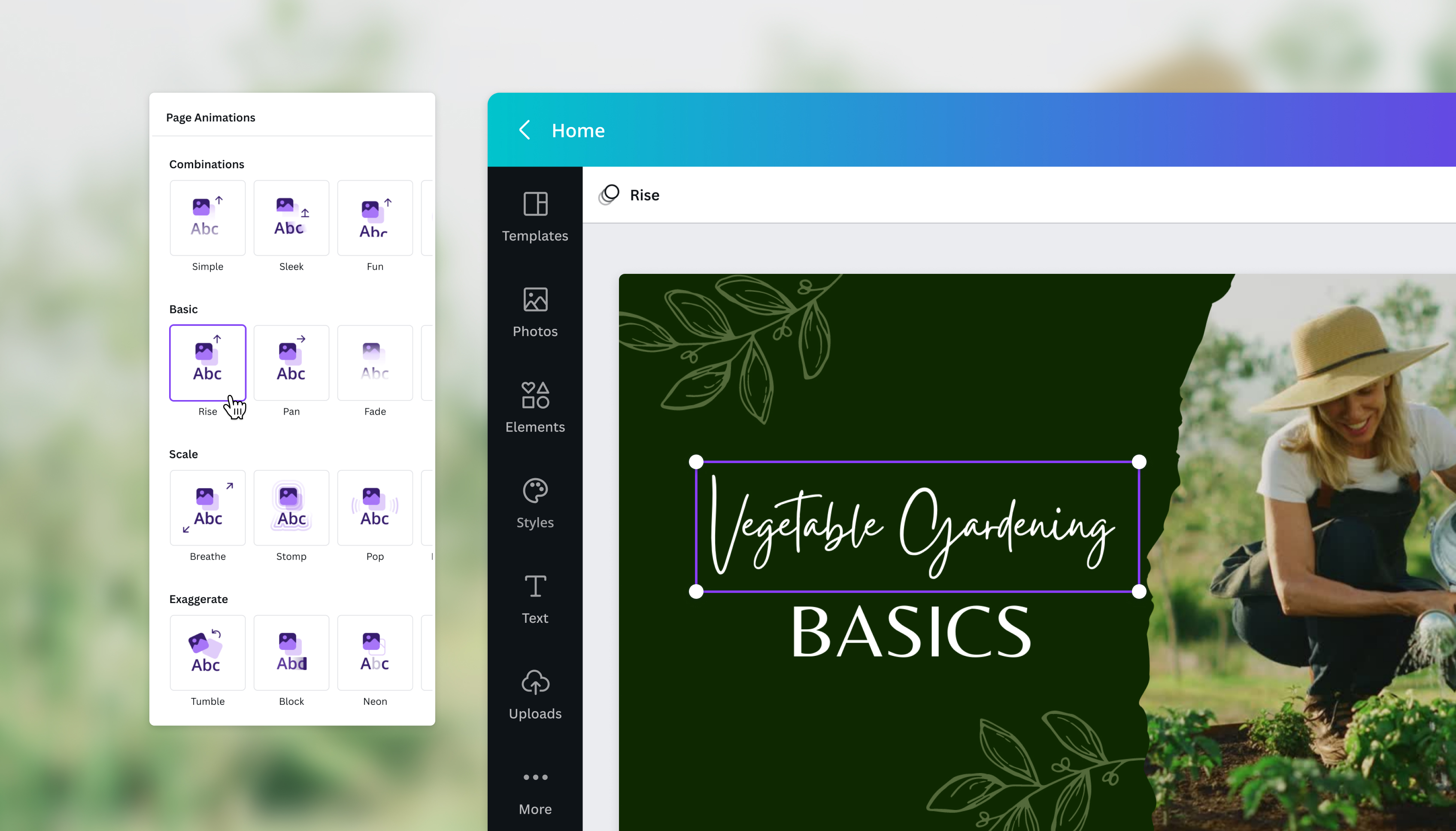 animasyon video yapma
