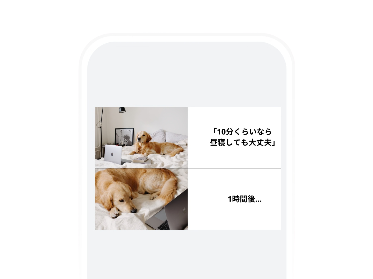 インターネットミーム