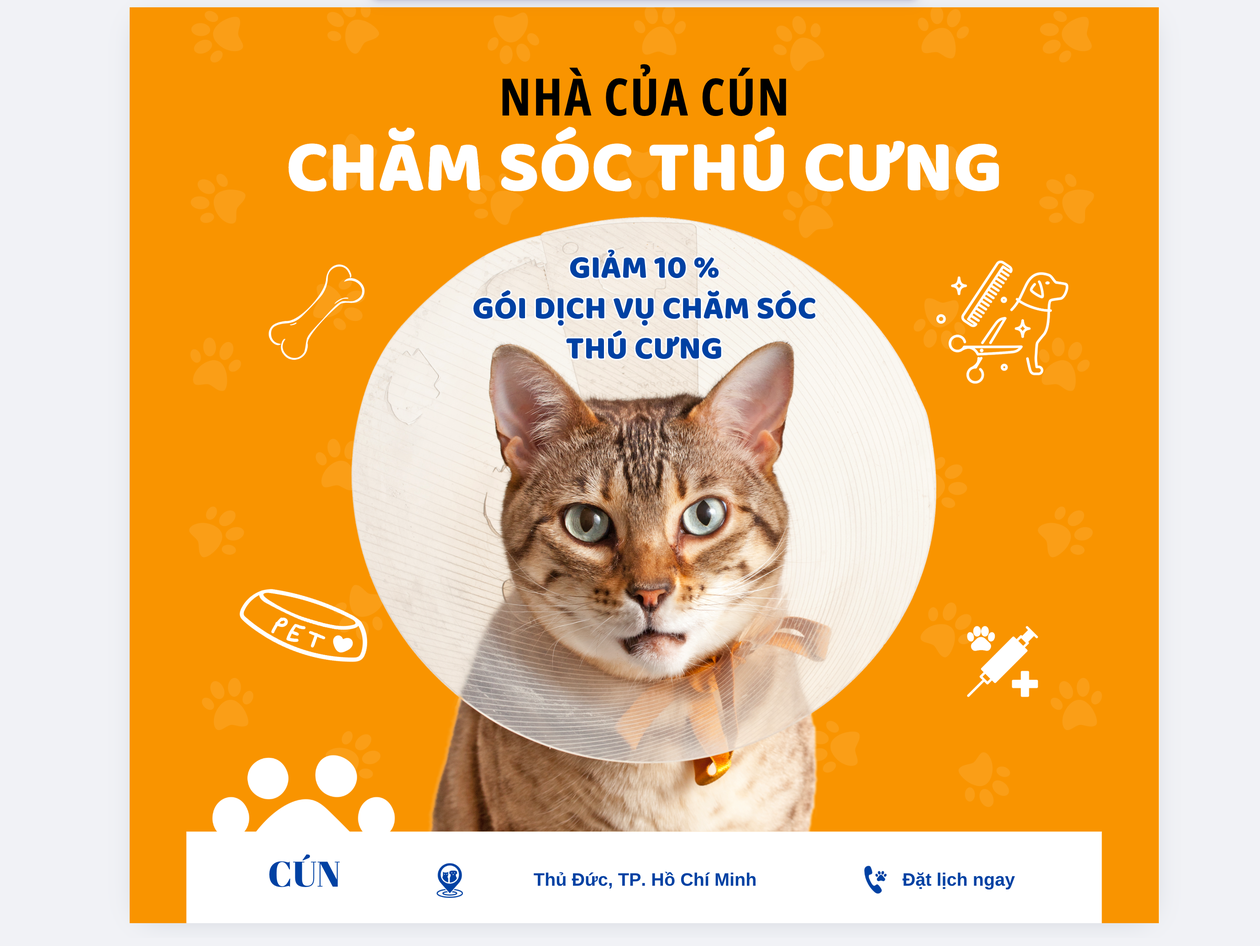 Chuyển đổi dễ dàng Xuất hình minh họa mèo từ thiết kế Illustrator sang PNG