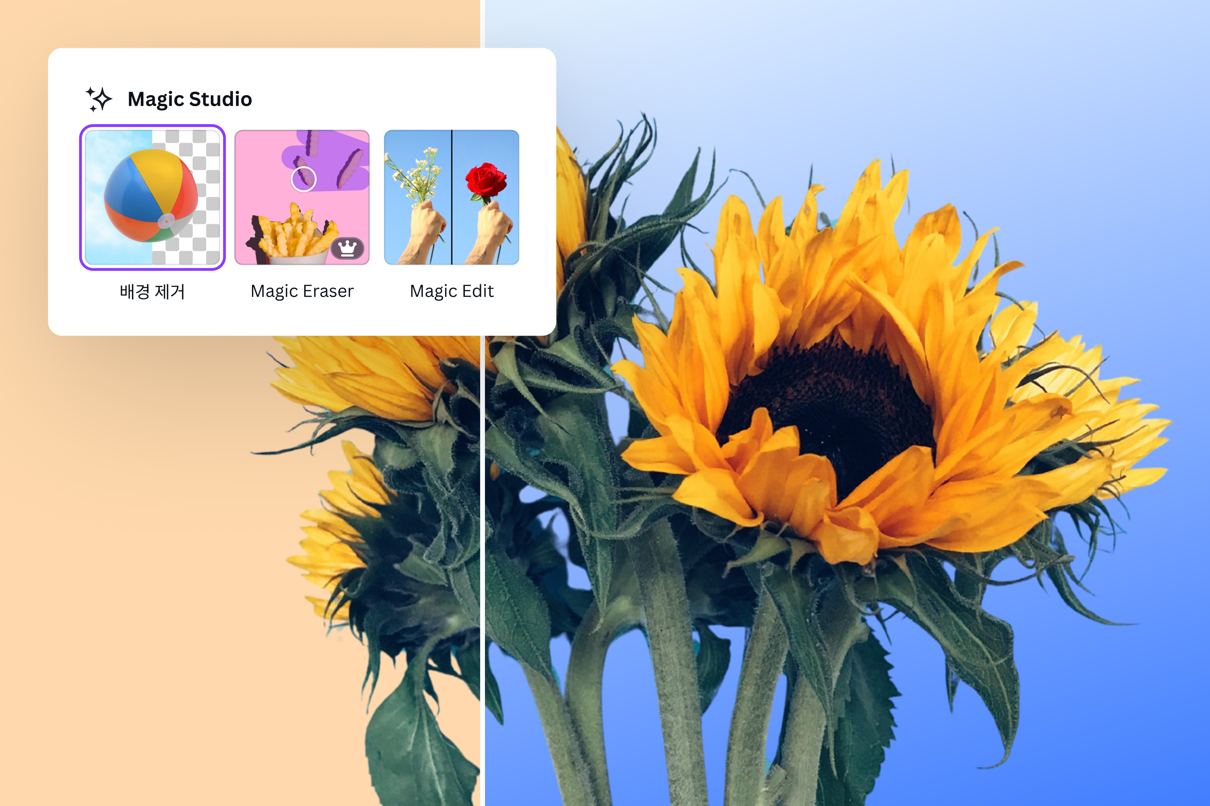 Canva(캔바)의 Magic Studio로 이미지 배경 편집하기 Canva(캔바)의 Magic Studio로 이미지 배경 편집하기
