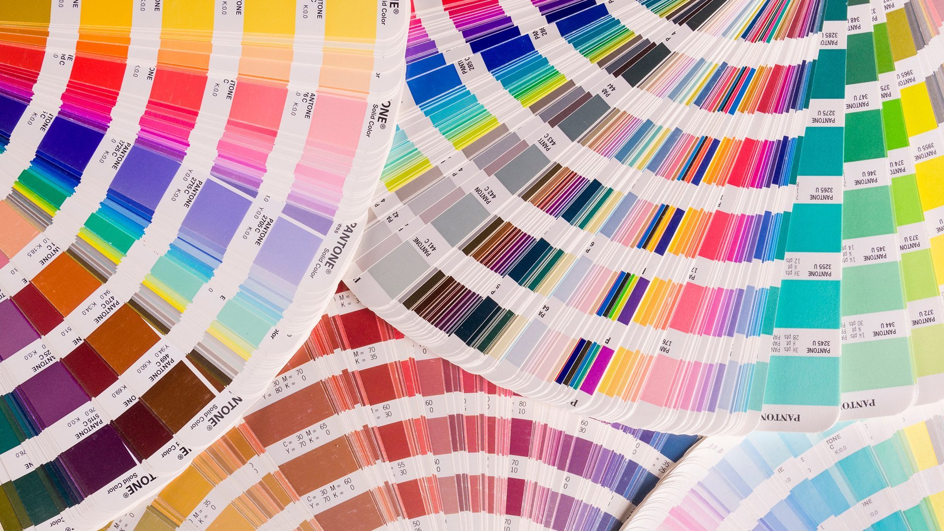 color palette card, color inspiration secrets