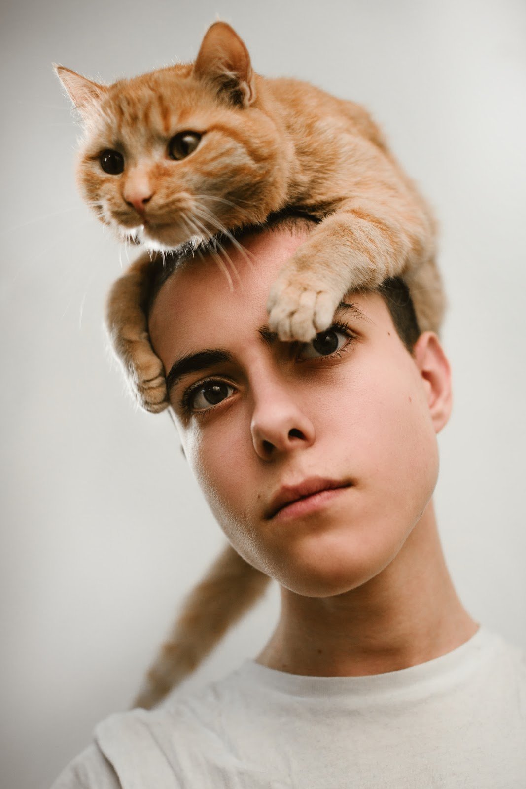 19 Creative Ways To Capture The Purr fect Cat Portrait 19 Creative Ways To Capture The Purr fect Cat Portrait
