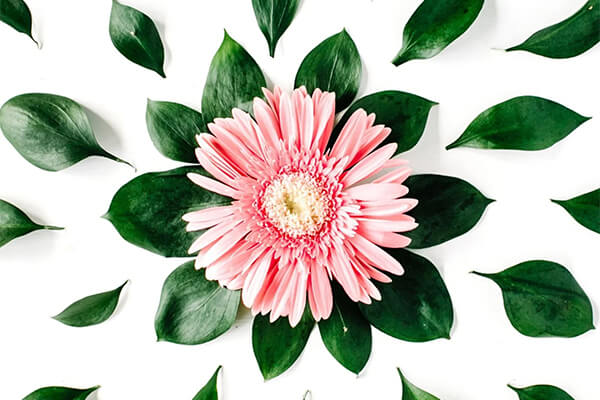 예쁜 감성 사진 콜라주 템플릿 보기