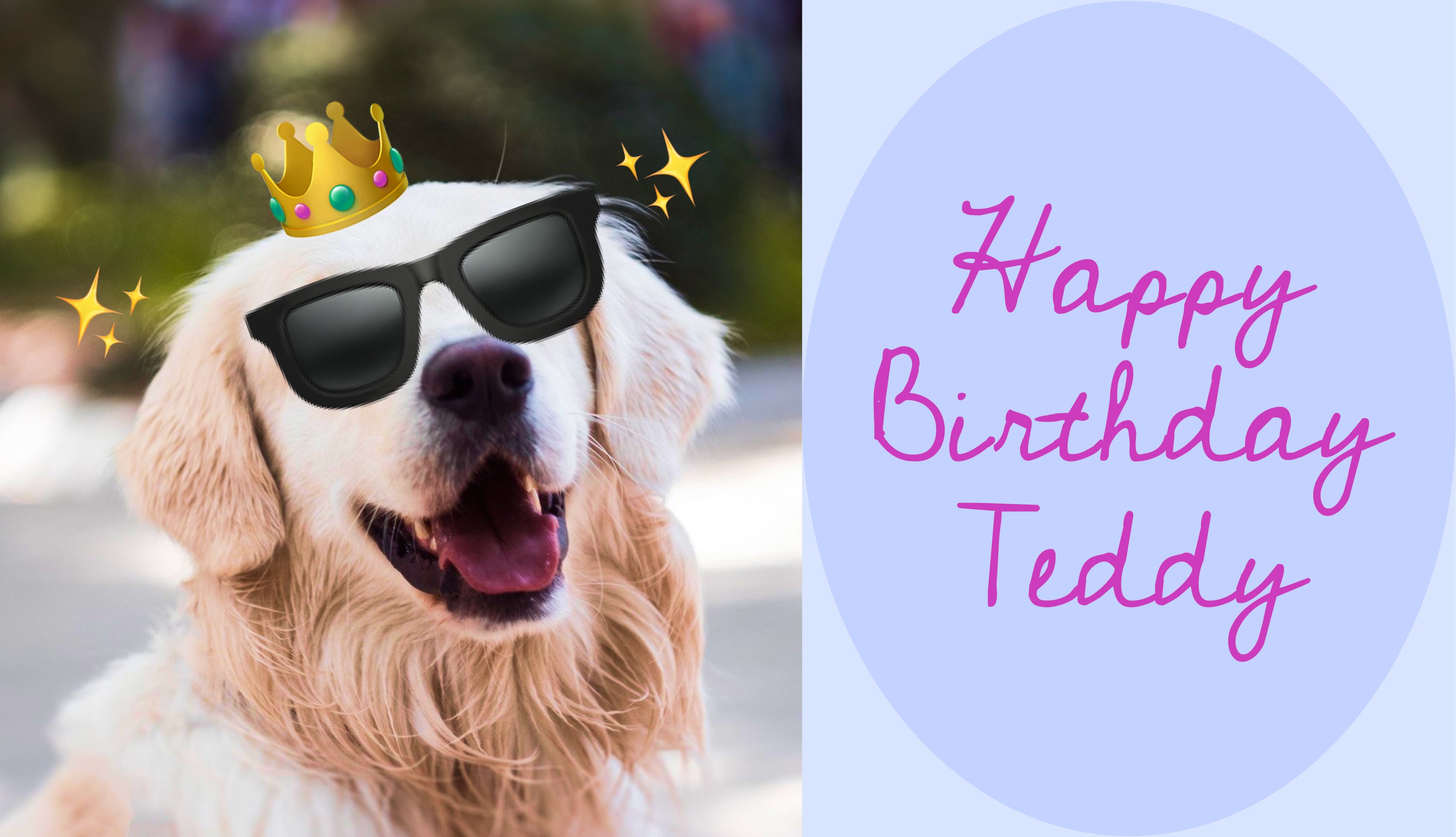 Emoji con foto e testo creata su Canva