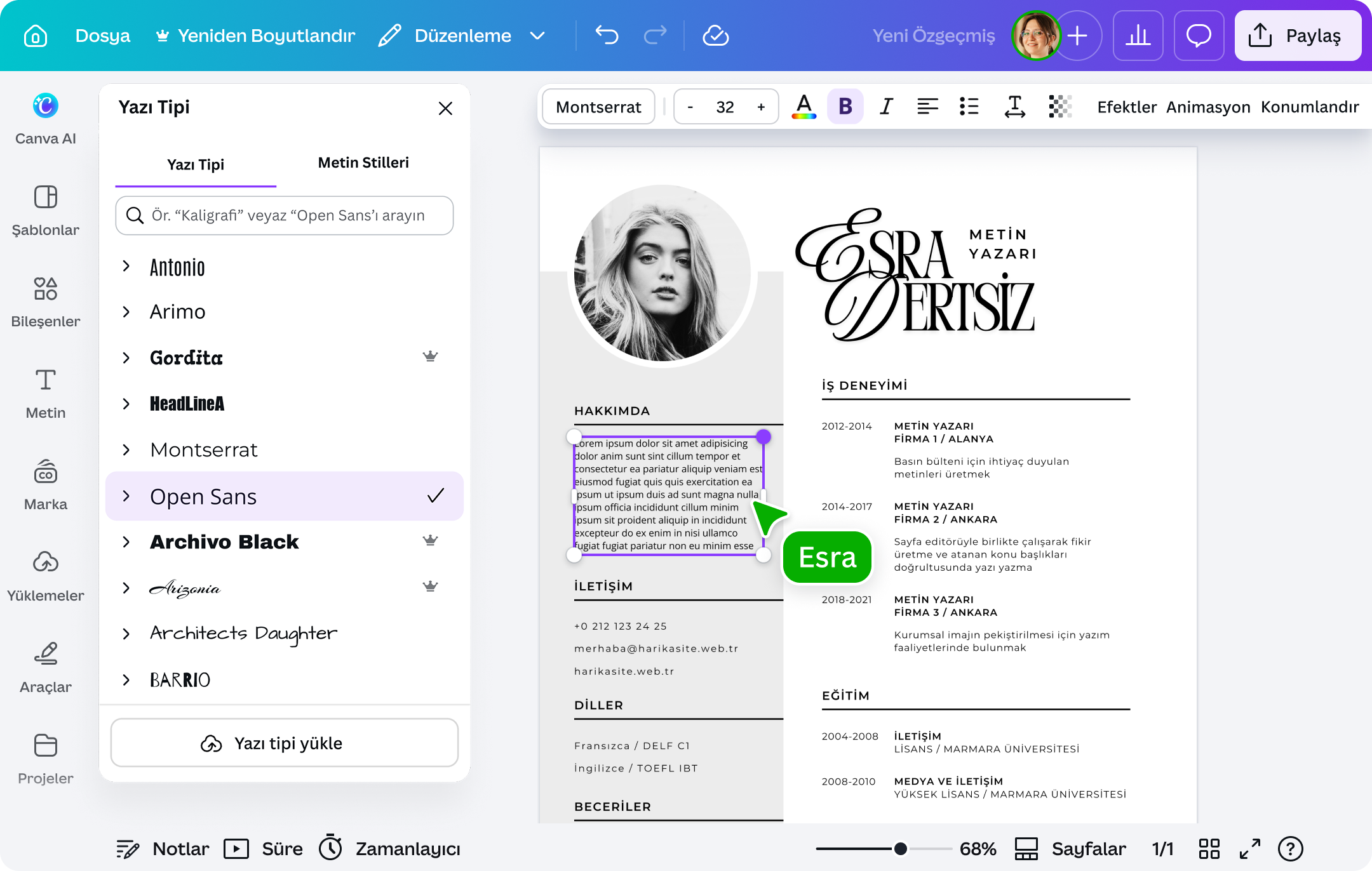 PDF üzerine yazı yazma programı - Canva