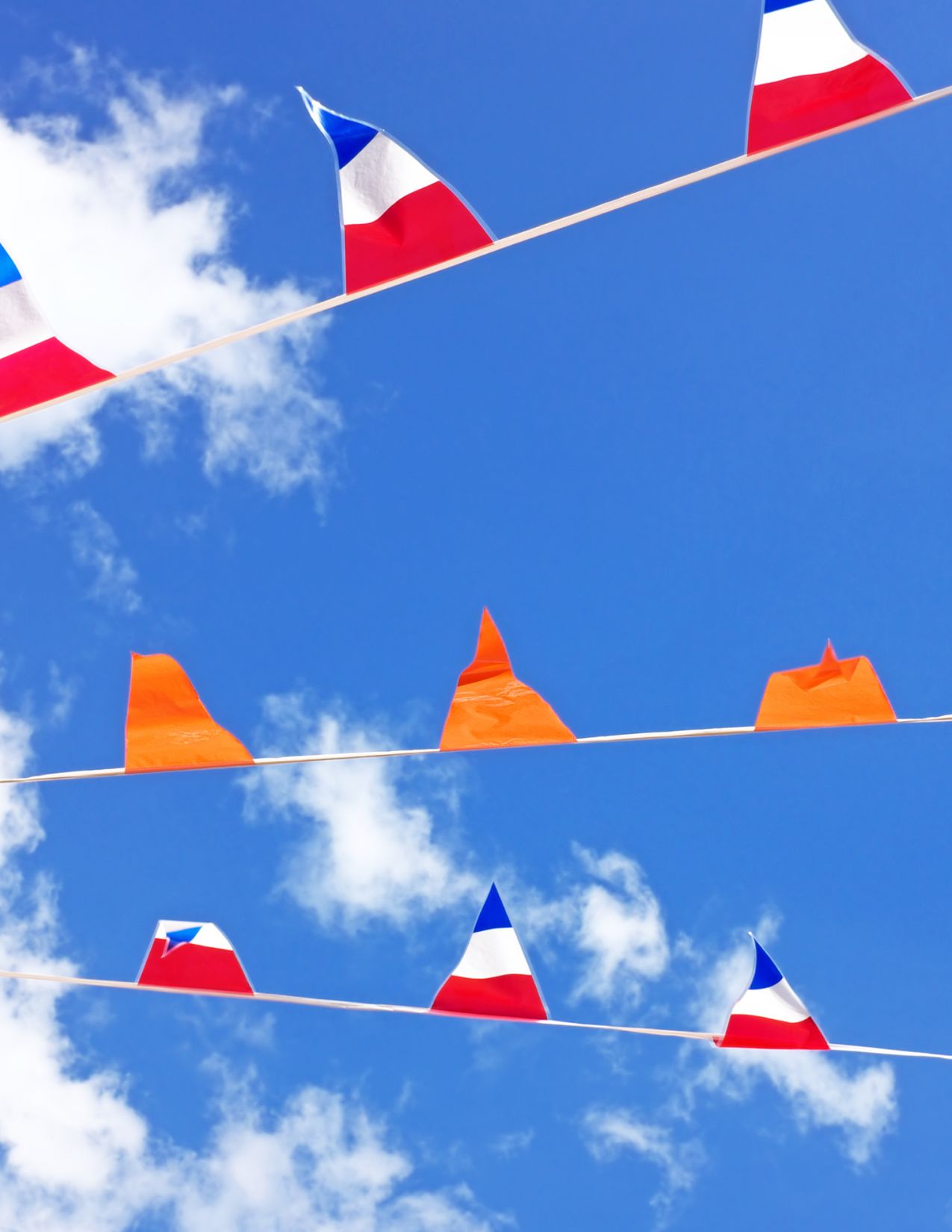 koningsdag shirt - canva