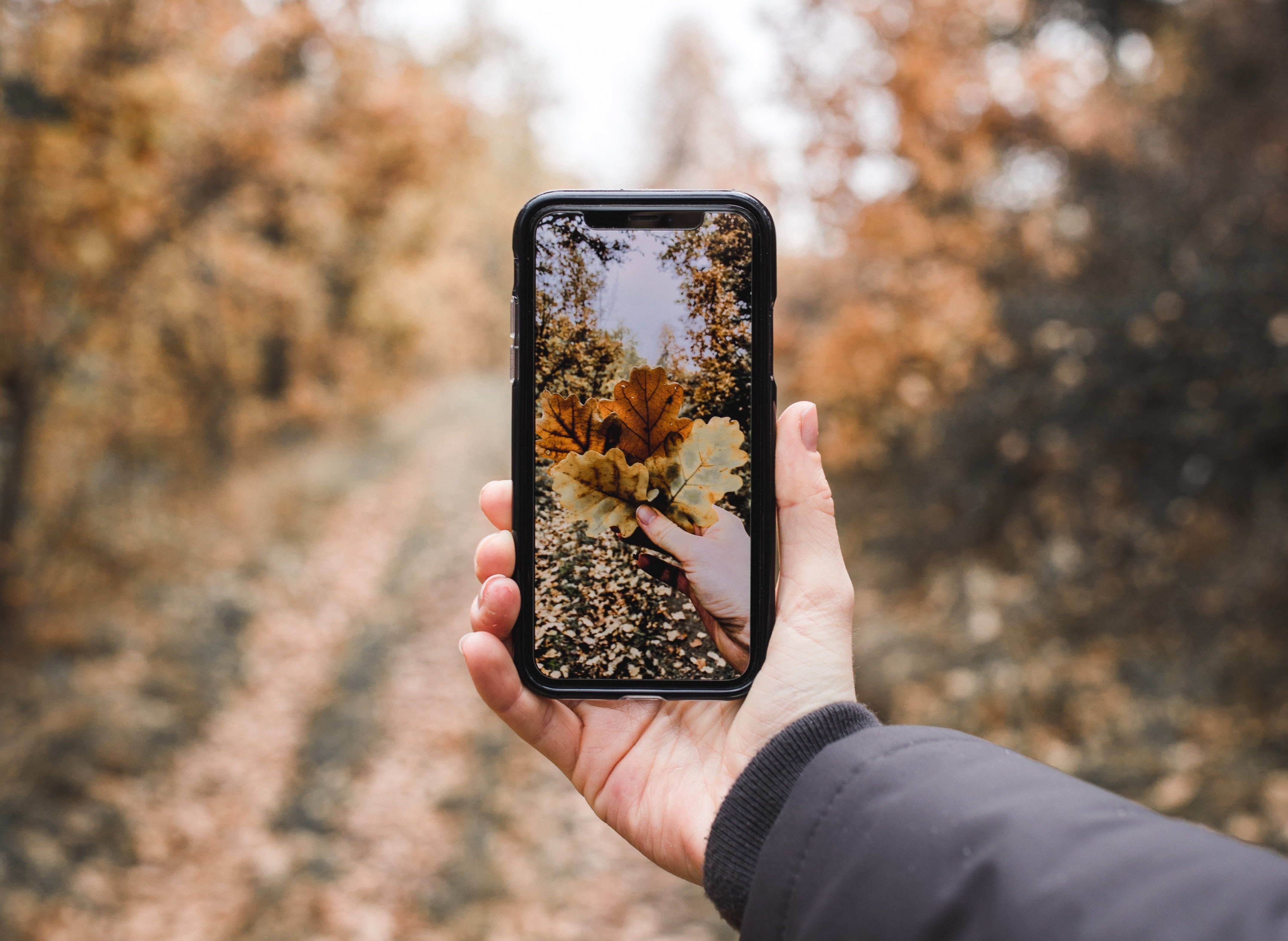 grant-ritchie-441326-unsplash11