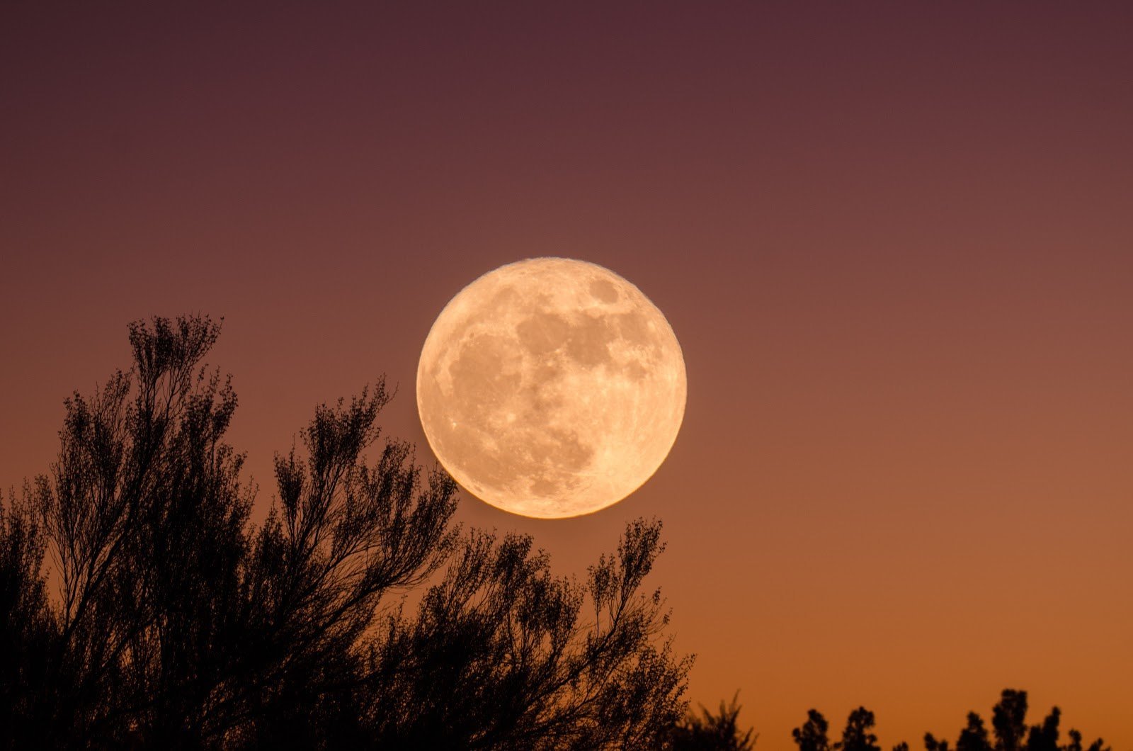 Moon Photos Examples 8 Effective Moon Photography Tips and Techniques