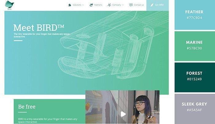 Website Theme Simple Color Designer-approved website color schemes