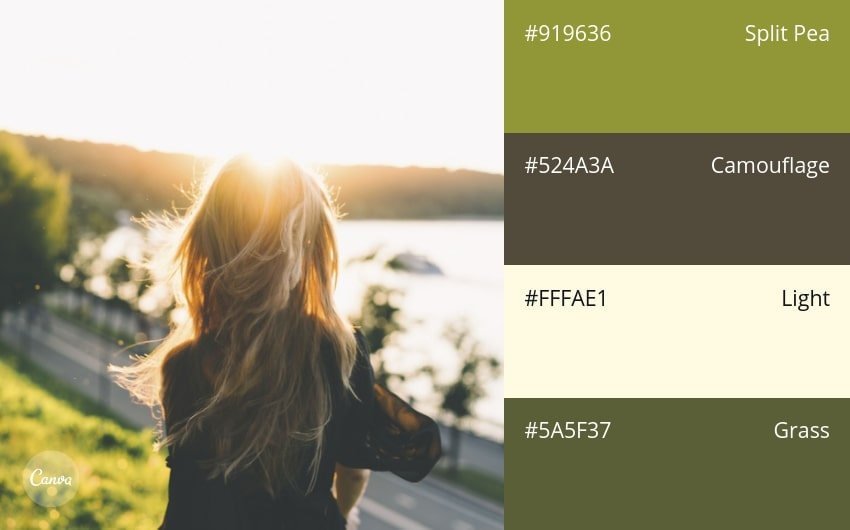 100 color combination ideas and examples | Canva