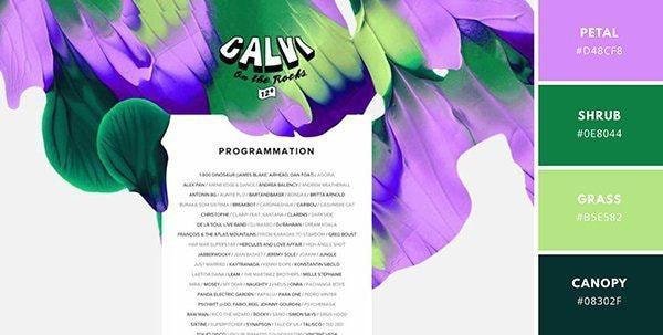 Designer-approved website color schemes