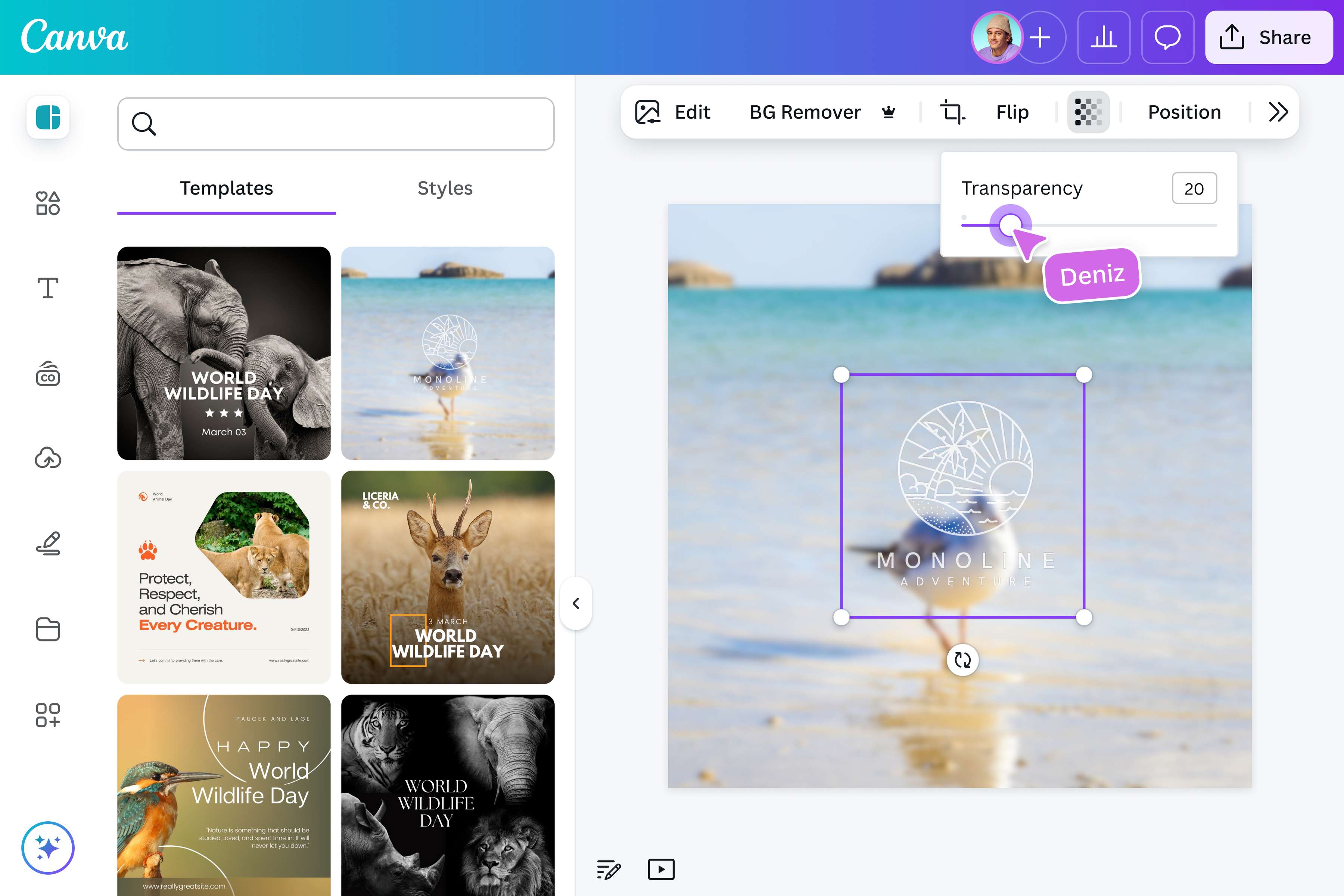 Use Canva templates for your design and adjust its transparency