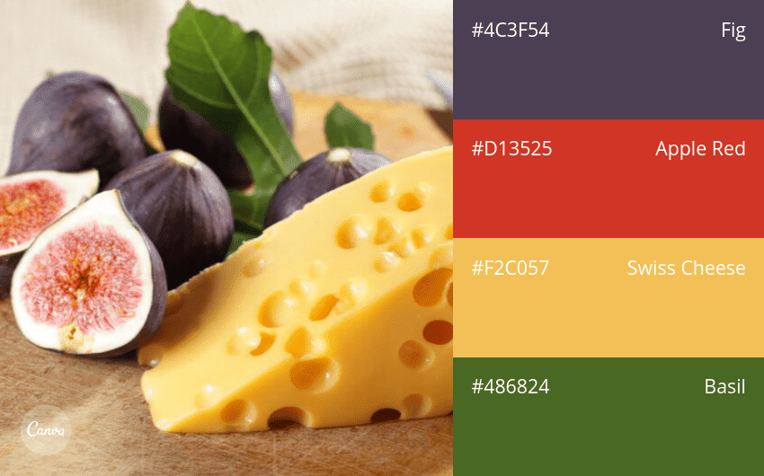 100 color combination ideas and examples | Canva
