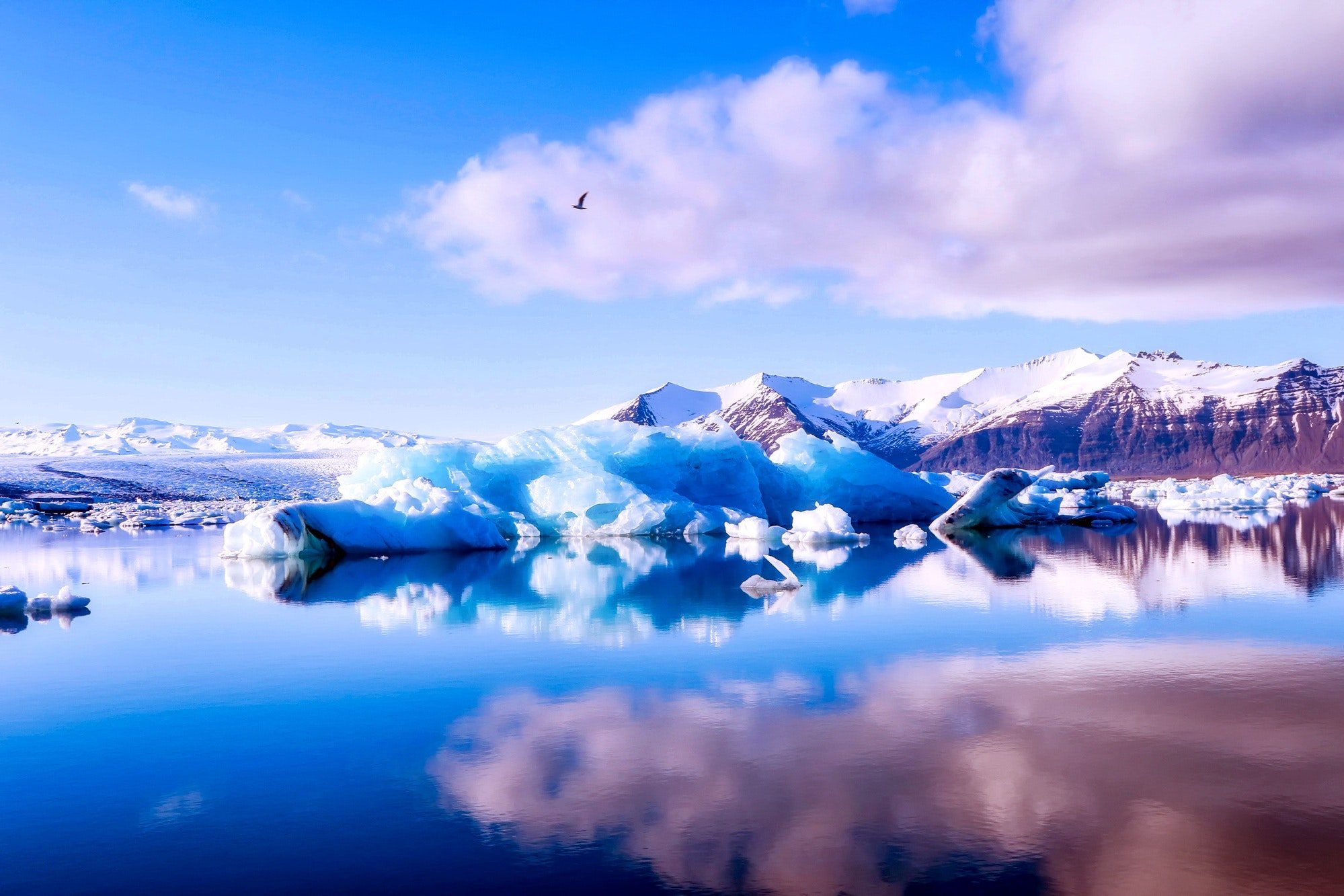 00 winterlandscapes_featimage