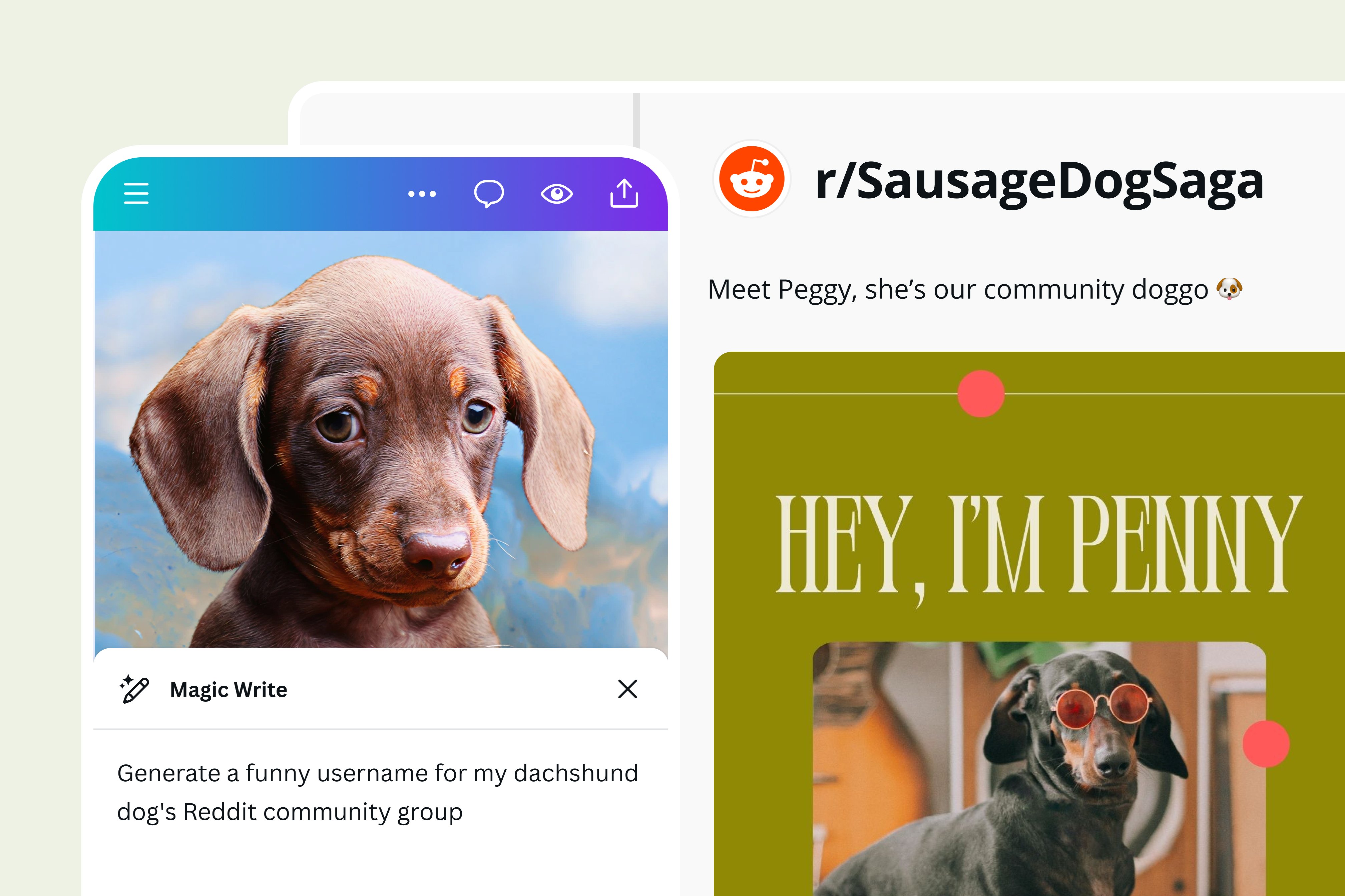 Generate branded username ideas in seconds