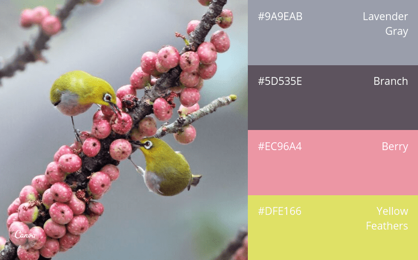 100 color combination ideas and examples | Canva