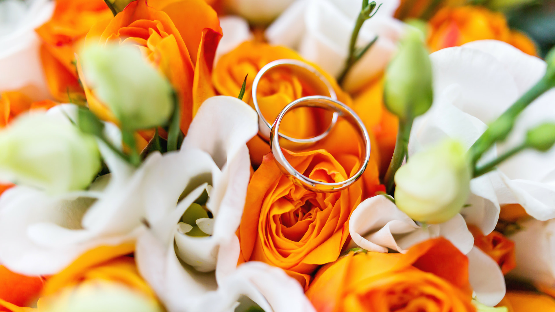 wedding-colors
