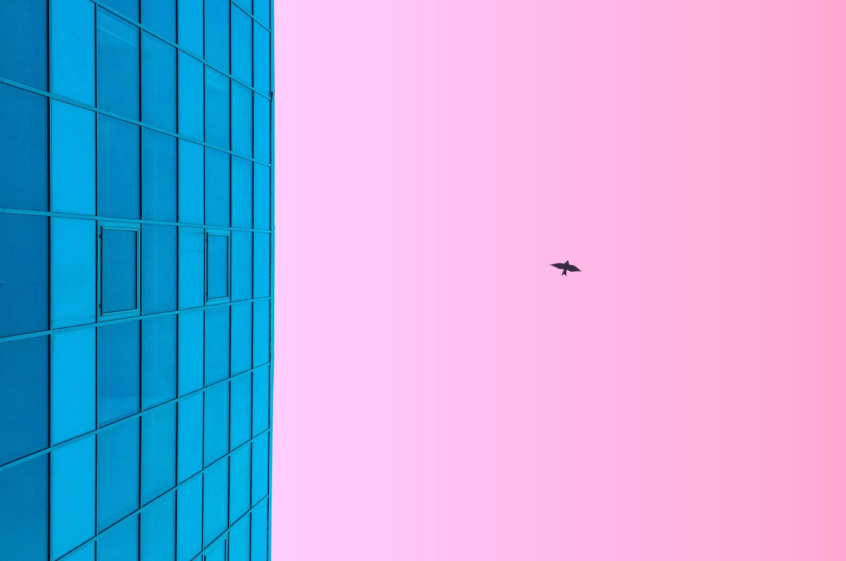 max-ostrozhinskiy-218836-unsplash copy11