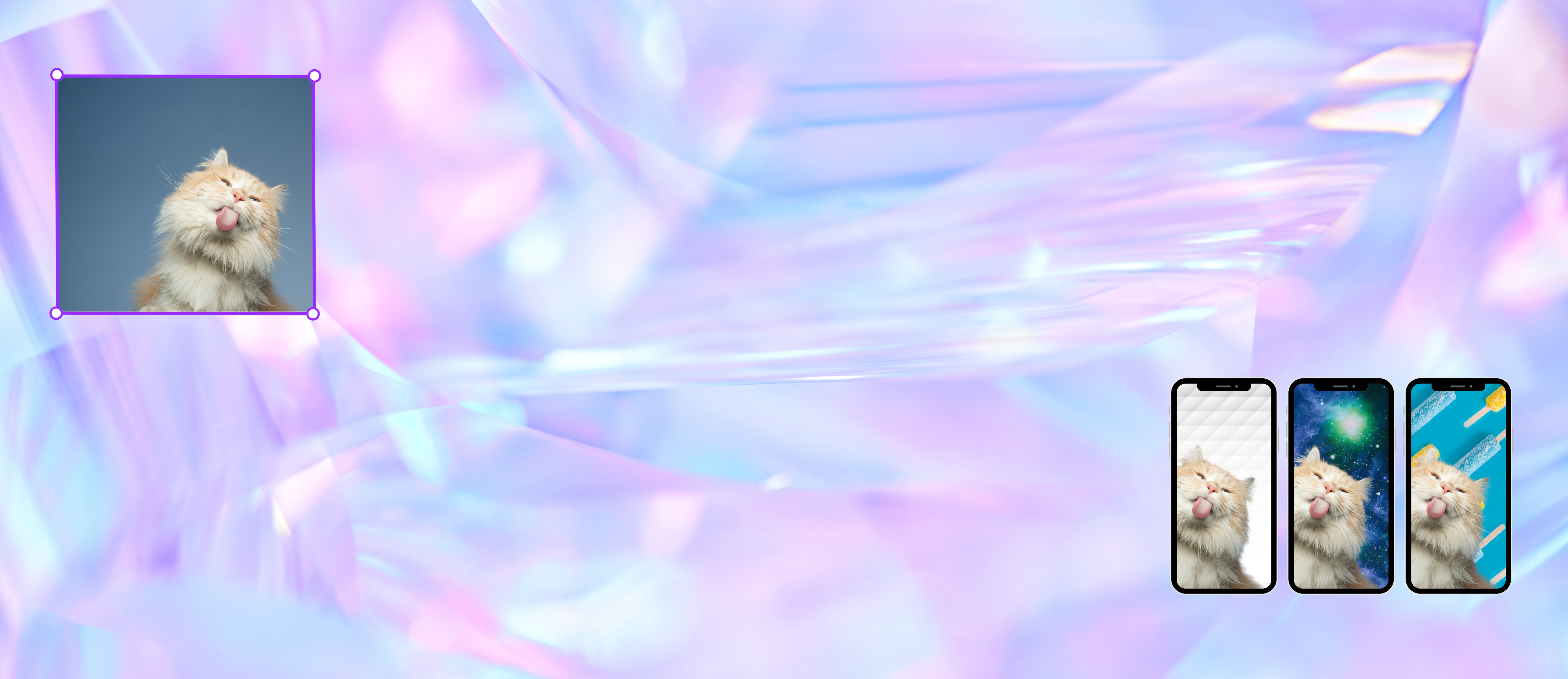  AI Background Remover