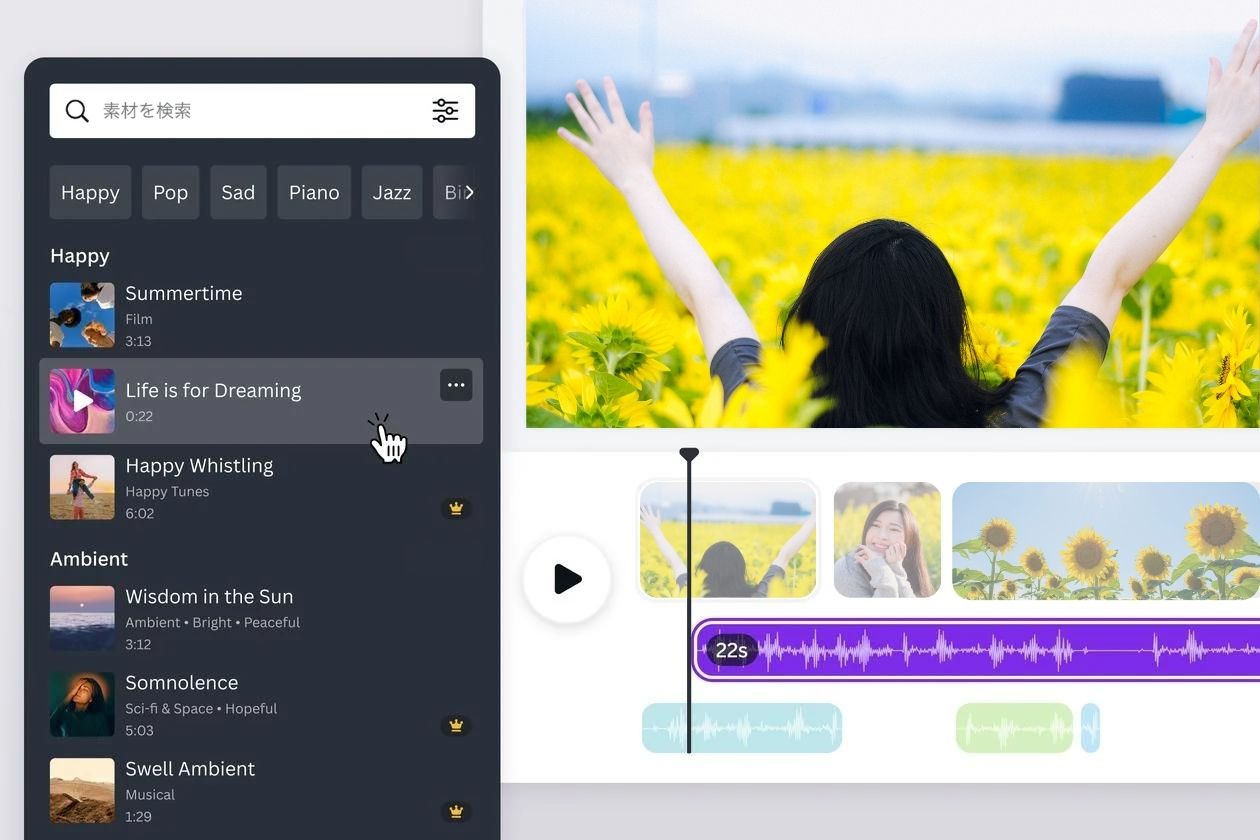 動画に音楽を挿入 動画に音楽を挿入