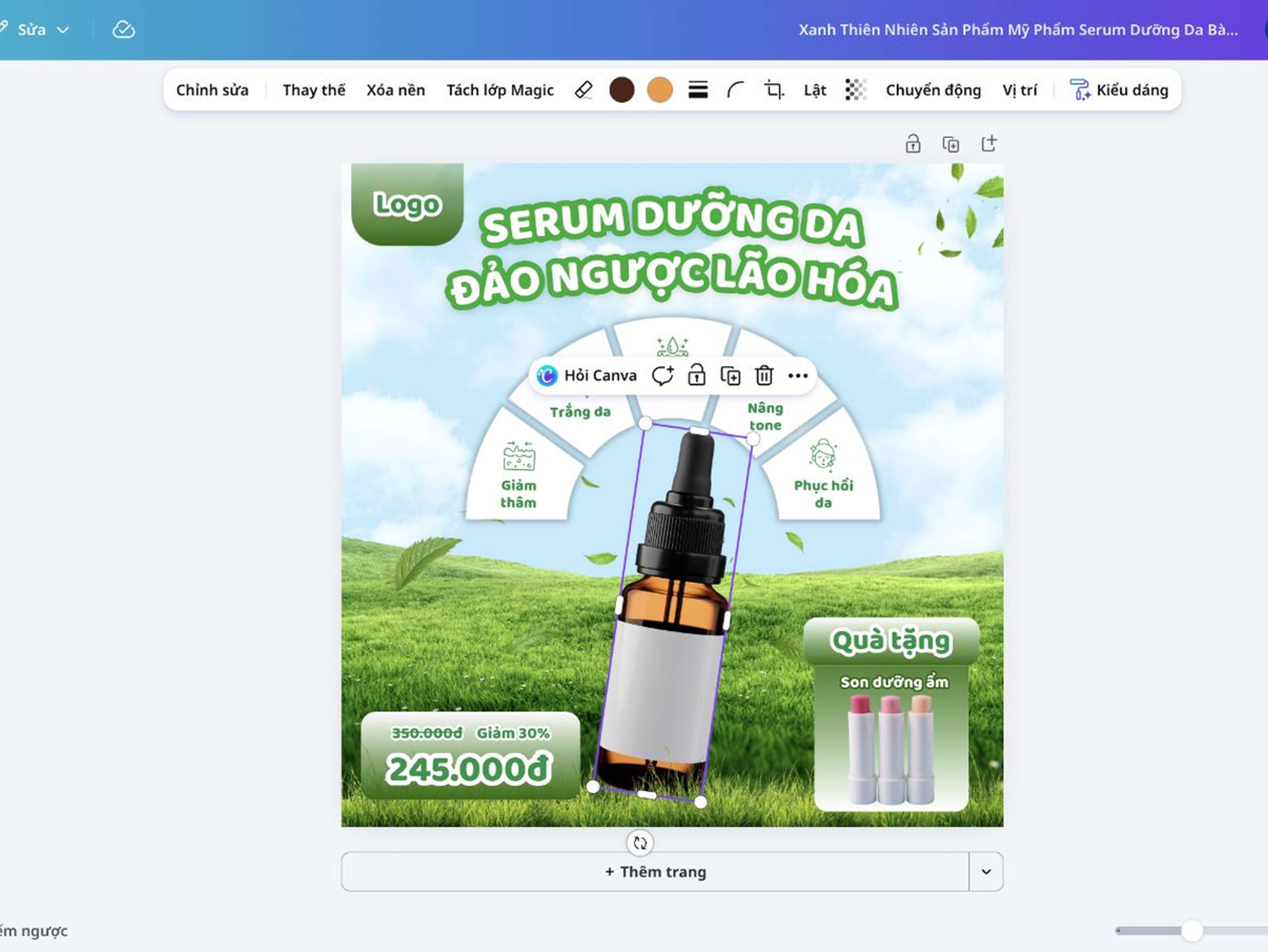 Hoàn thiện thiết kế PNG ngay trên Canva