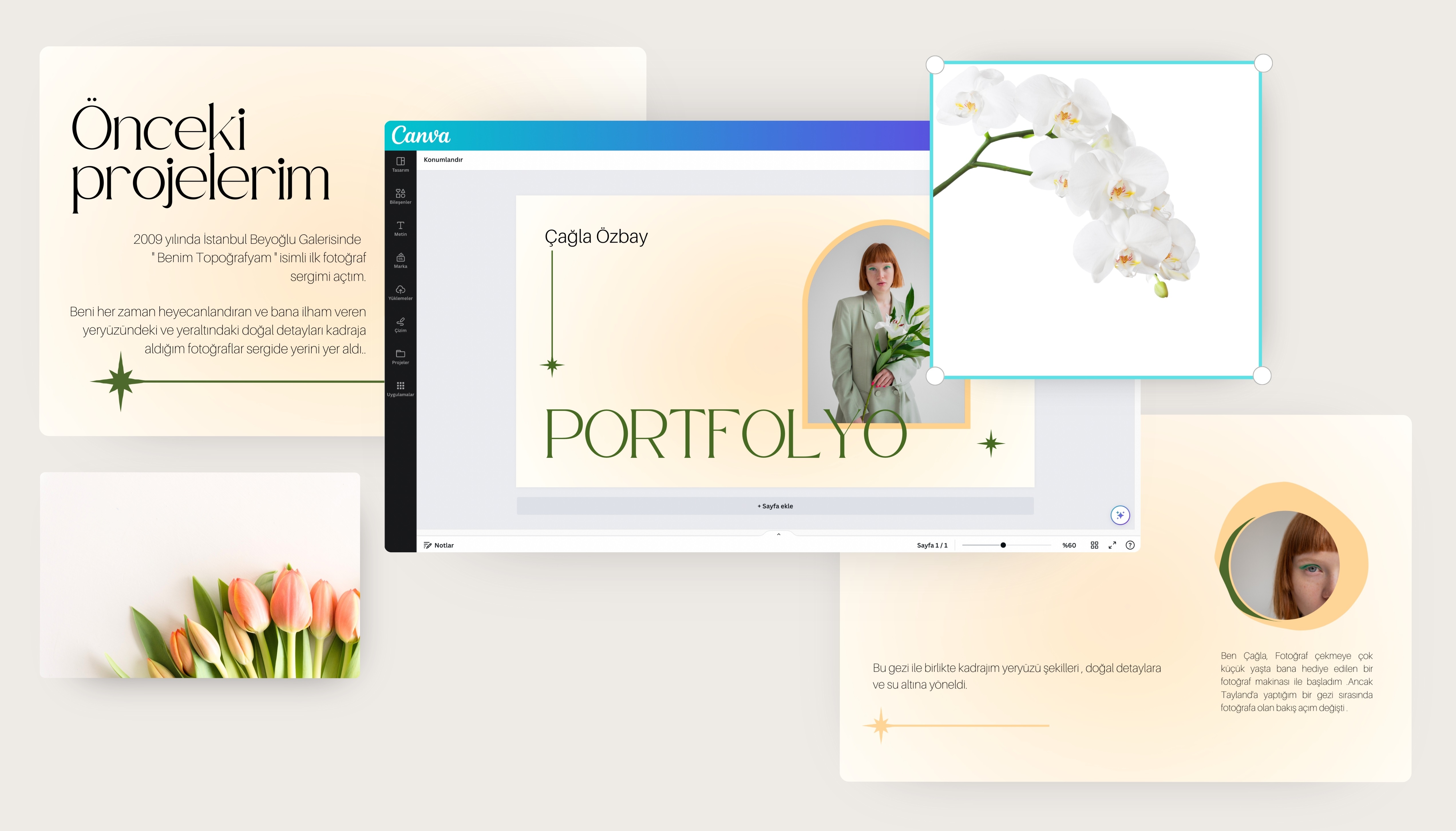 portfolyo hazırlama - Canva