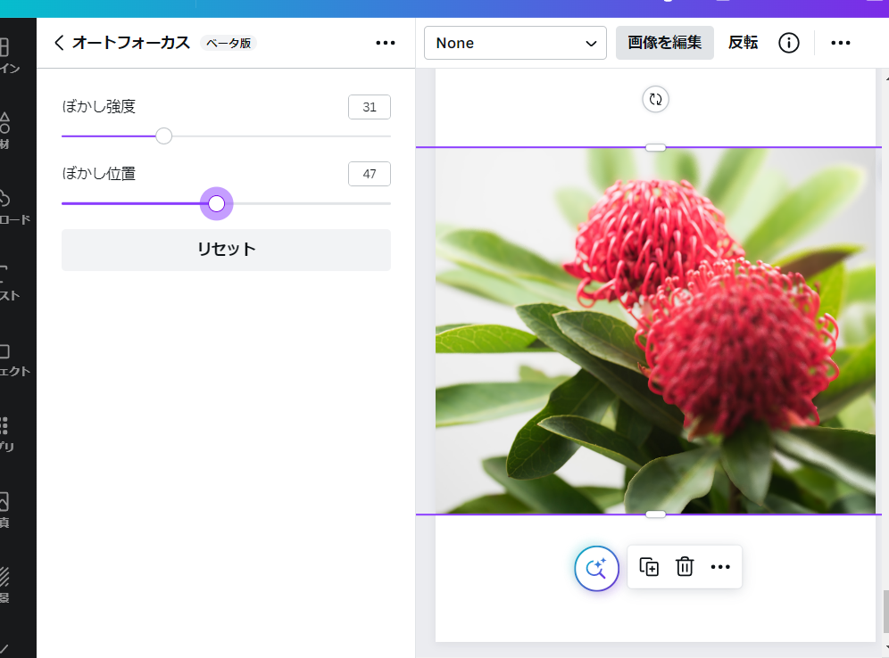 オートフォーカス オートフォーカス