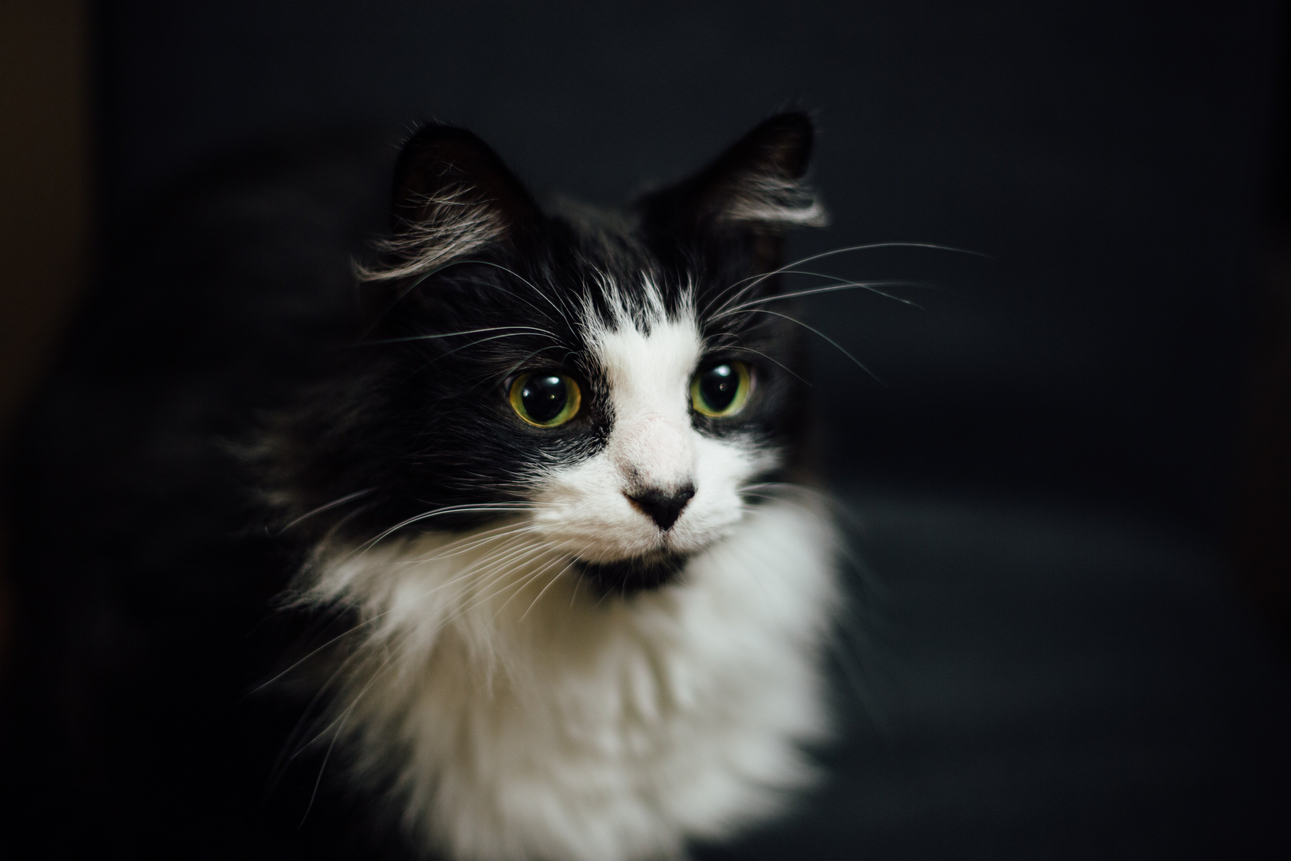 paul-hanaoka-291714-unsplash