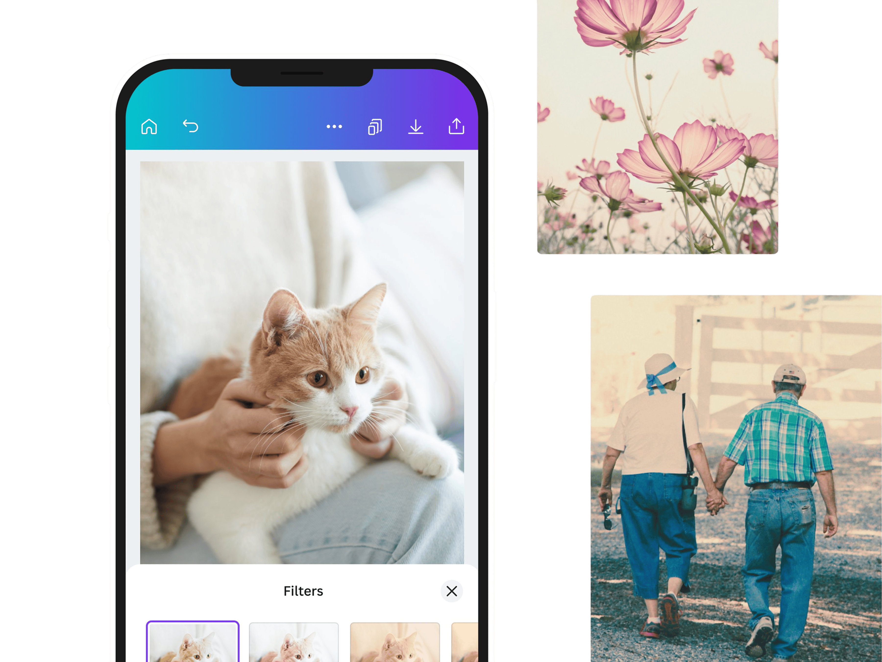 Vintage Filter Feature Banner