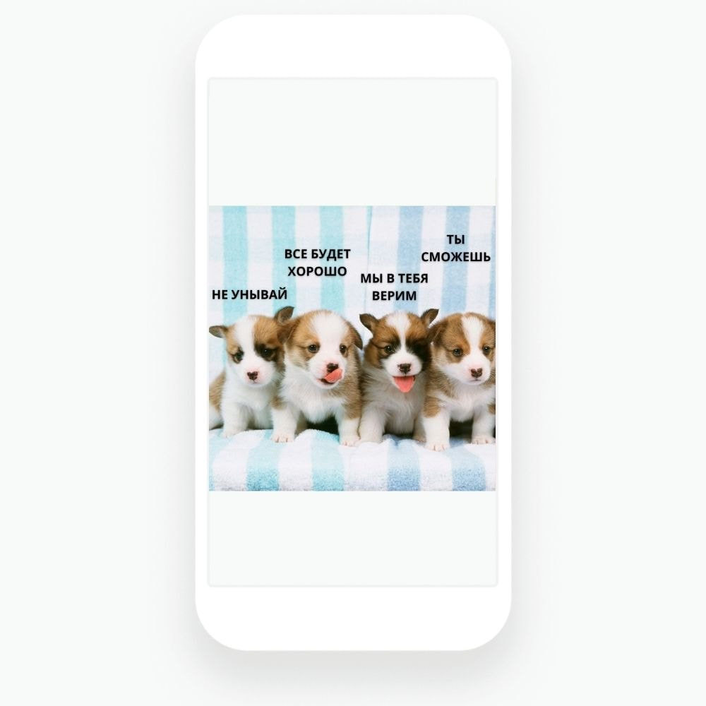 Мем созданный в онлайн редакторе Canva
