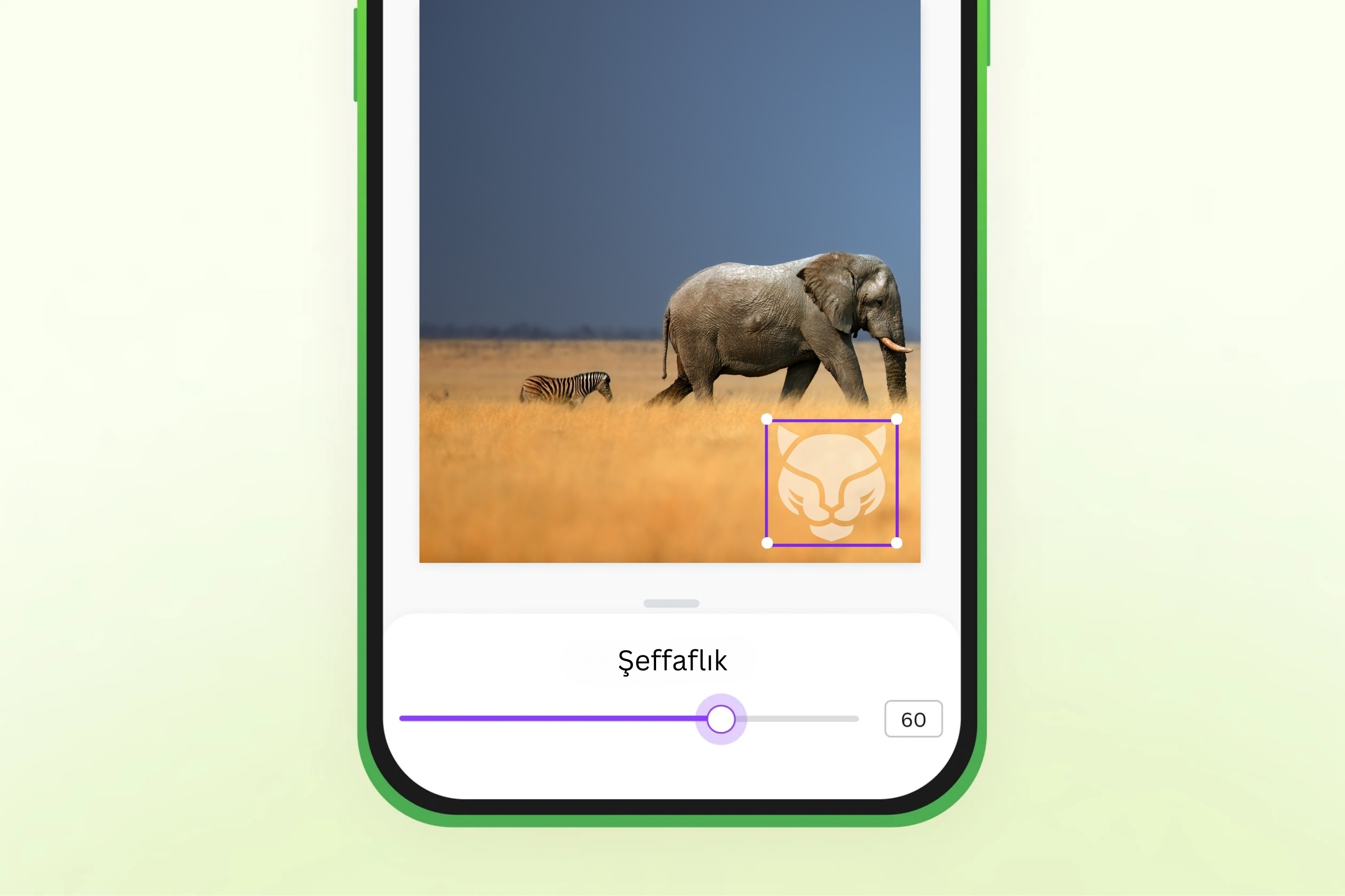 ücretsiz ve online olarak fotoğrafa filigran ekleme - Canva ücretsiz ve online olarak fotoğrafa filigran ekleme - Canva