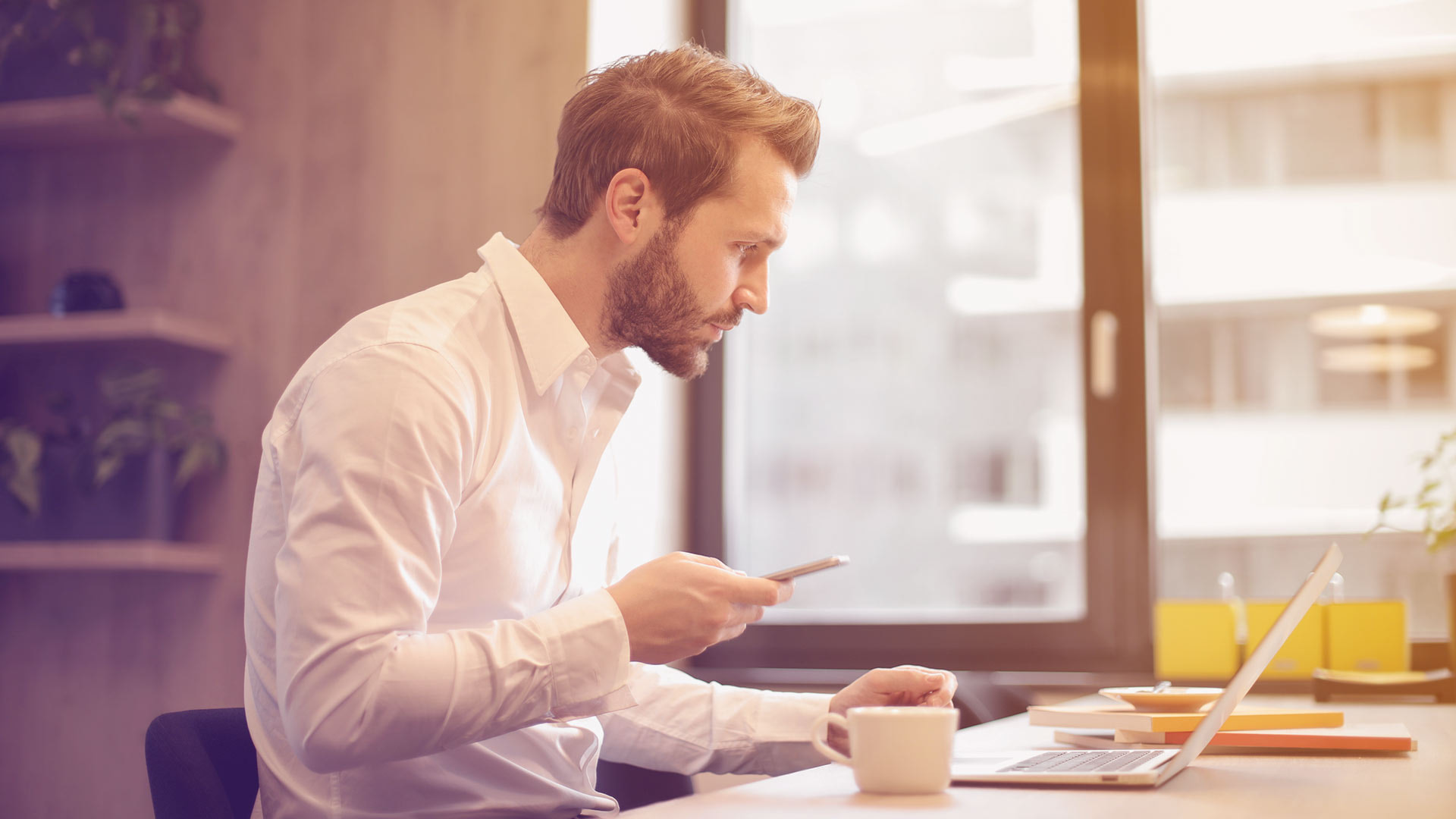 canva,concentration,méthode,concentré