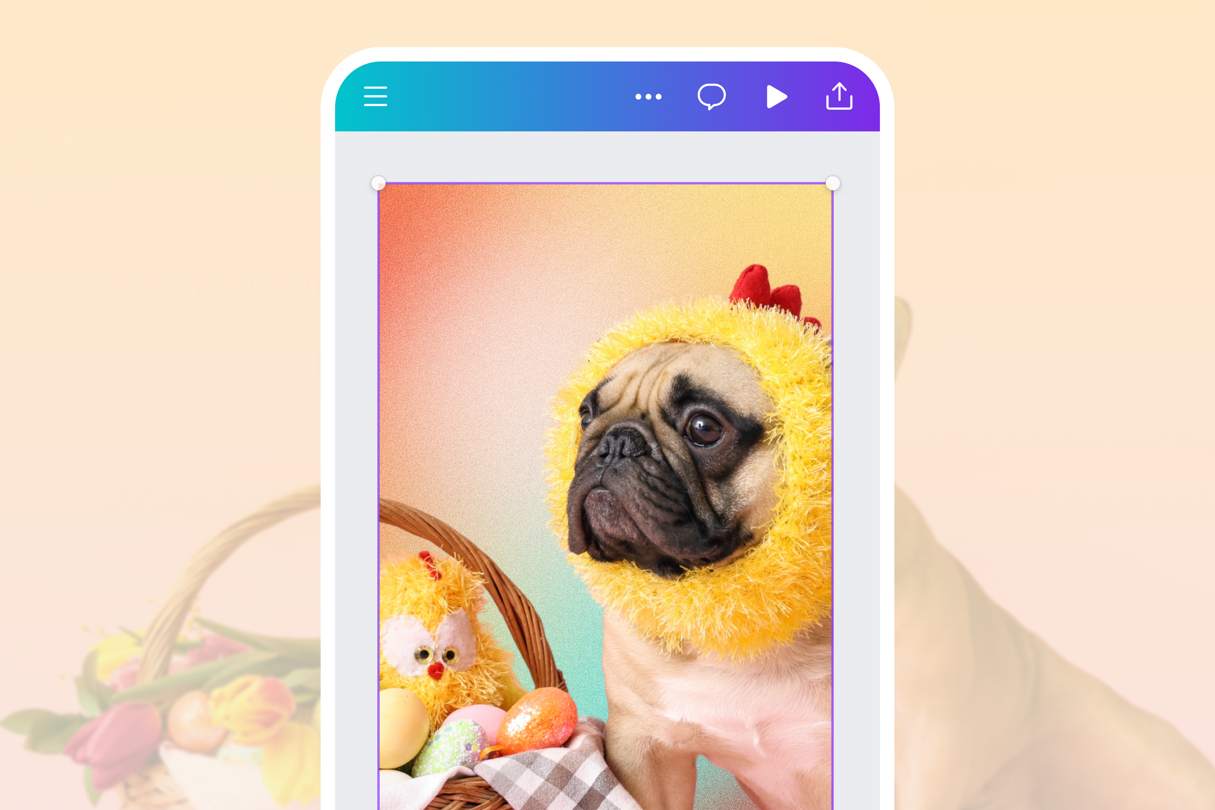 Automatically eliminate your video backdrop with Video Background Remover Pro